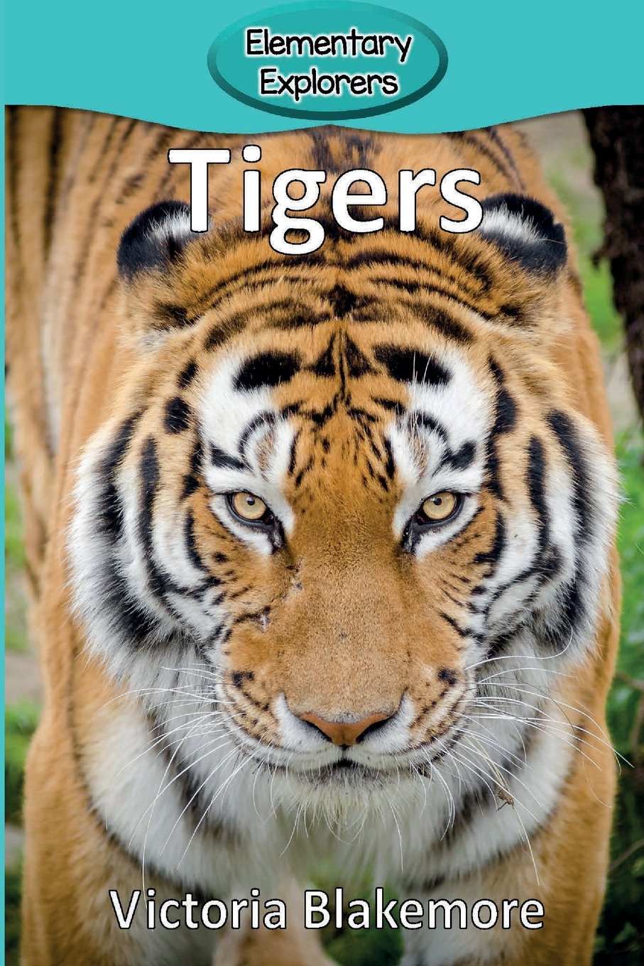 Tigers: 22 (Elementary Explorers)