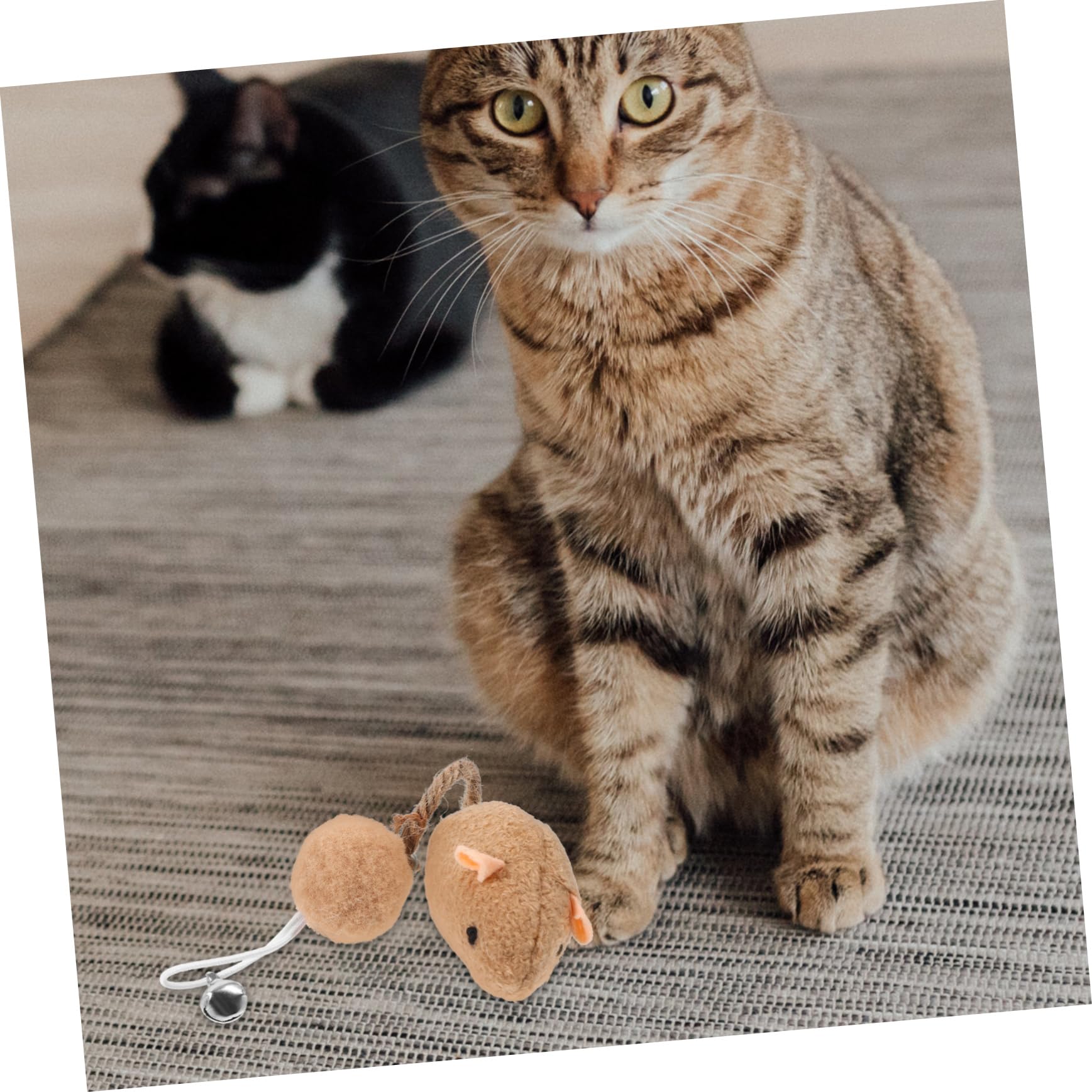 6pièces Souris pour Chats Lot de Jouets Colorés avec Clochettes Accessoires Amusants pour Chats Intérieur pour Éveiller Instinct De Chasse