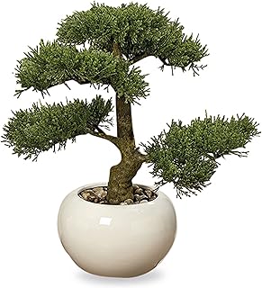 WHW Whole House Worlds Realistic Faux Cedar Bonsai Tree, Houseplant, White Round Pot, Pebbles, Padded Bottom, Over 1 Ft Tall, (H33cm)
