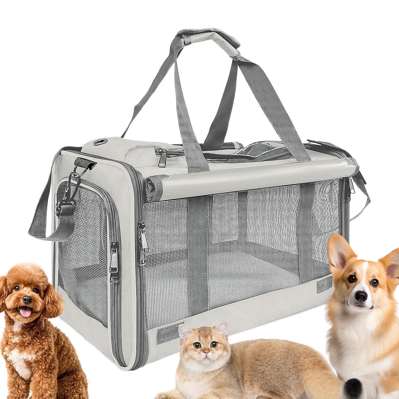 Generico Cat Transport Box Pro – Transporttasche für Katzen bis 9 kg | Atmungsaktive, faltbare Reisetasche | für Camping, Motorrad, Flugzeug, Auto, Outdoor-Abenteuer, Tierklinik,