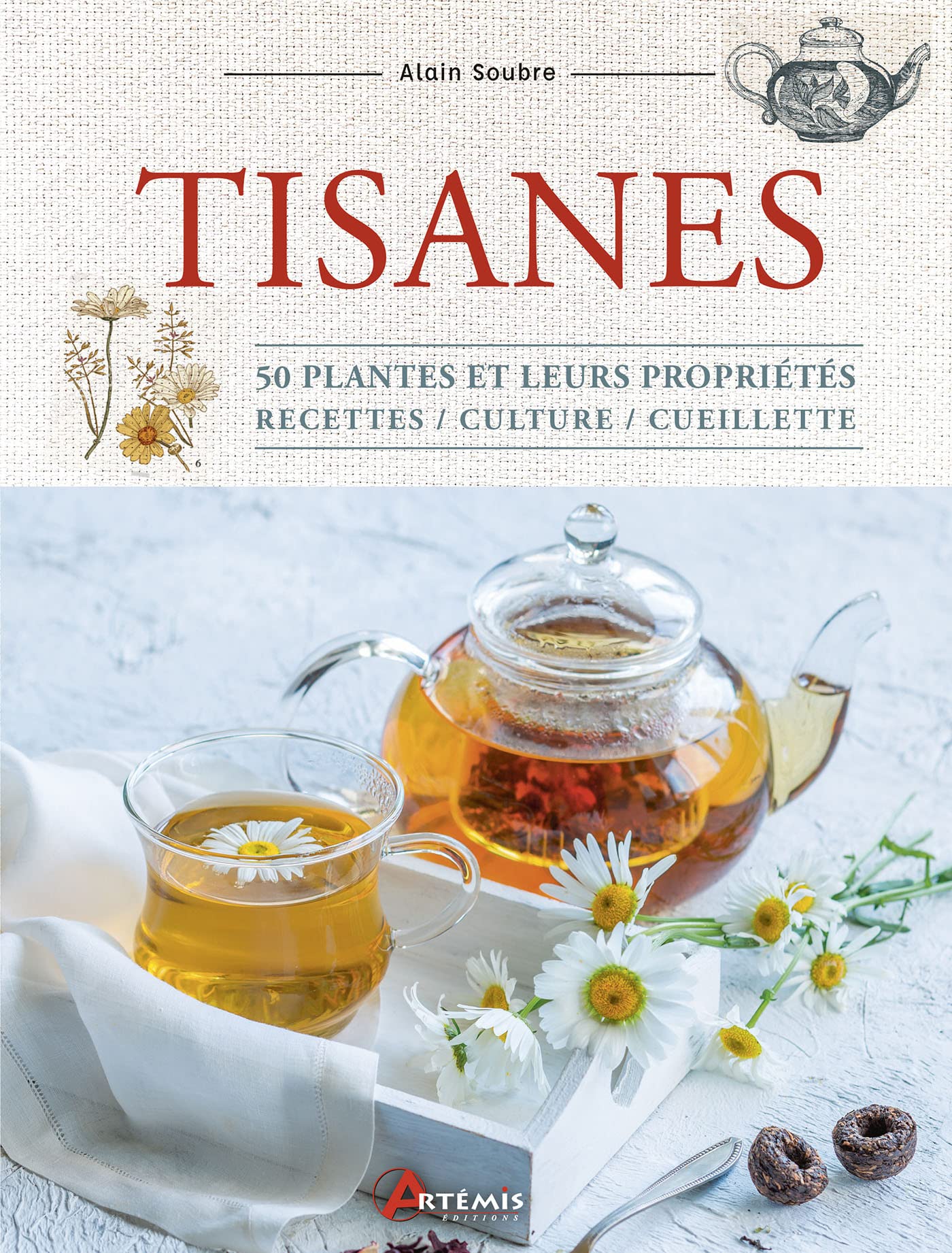 Tisanes: 50 plantes et leurs propriétés