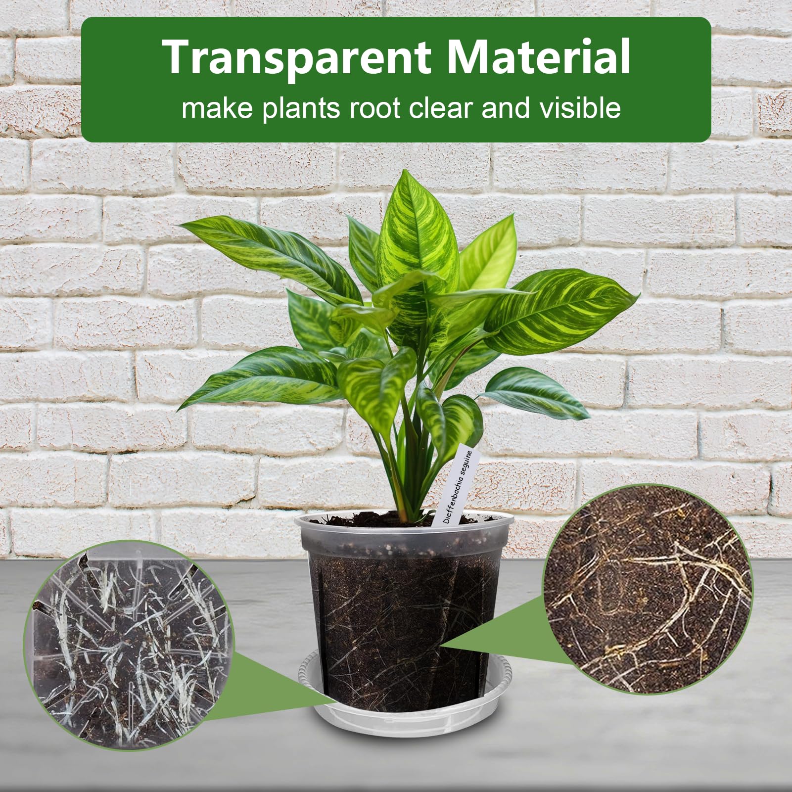 Transparente Pflanztöpfe für Pflanzen, 10/12/15/18cm Blumentöpfe aus Kunststoff mit Abflusslöchern, 8er-Pack Gartentöpfe, Saat-Starter-Töpfe mit Tablett und 10 Pflanzenetiketten