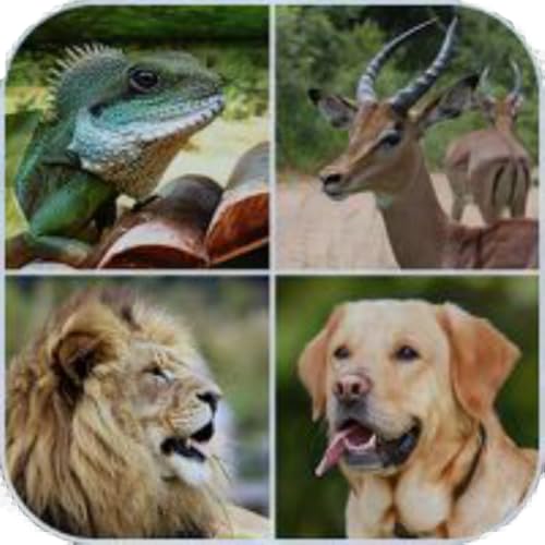 Sons Dos Animais