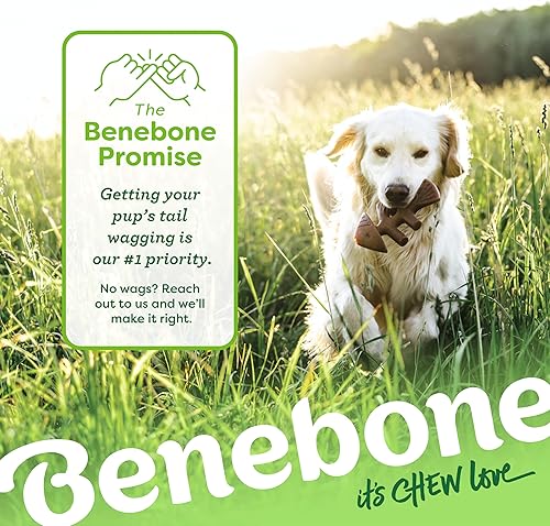 Vista 12 de Benebone Fishbone - Juguete masticable duradero para perros masticadores agresivos, peces reales, fabricado en Estados Unidos, pequeño