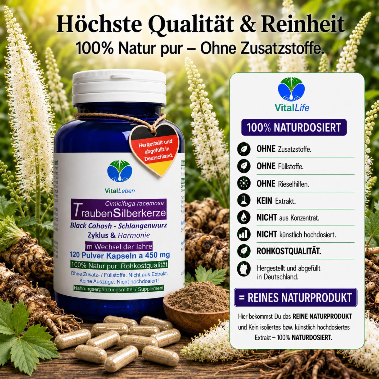 Traubensilberkerze 120 Kapseln Frauenpflanze für Lebensmitte, Wechseljahre, Menopause. Cimicifuga Black Cohosh. Hormonfrei. Kein Extrakt, nicht hochdosiert. NATUR pur. OHNE ZUSATZSTOFFE. 26850-120
