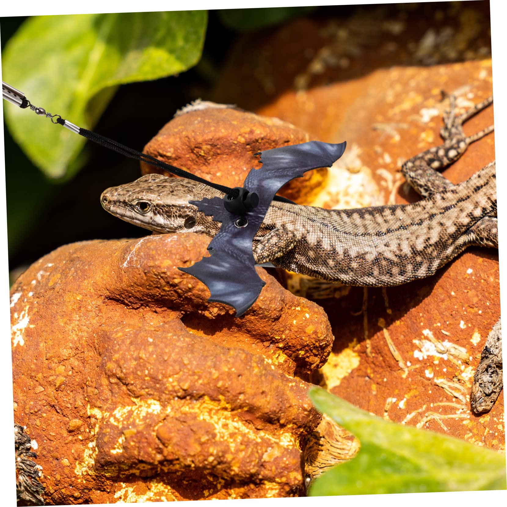 ABOOFAN 5sätze Einstellbares Eidechsen Geschirr Mit Leichtem Seil Leine Für Bartagamen Geckos Und Kleine Reptilien Zum Einfachen Spaziergang Im Freien