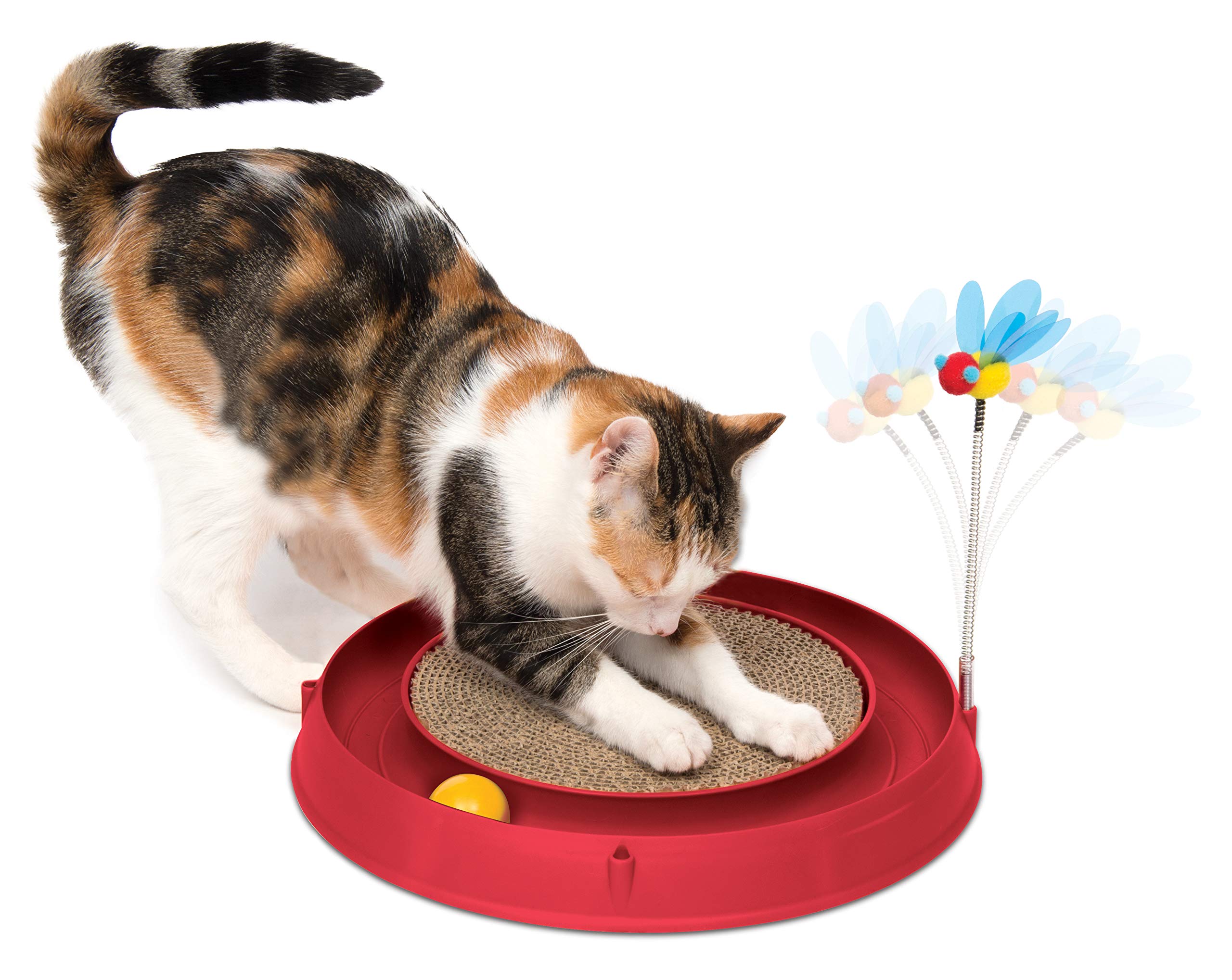 natural choice tartar control biscuits