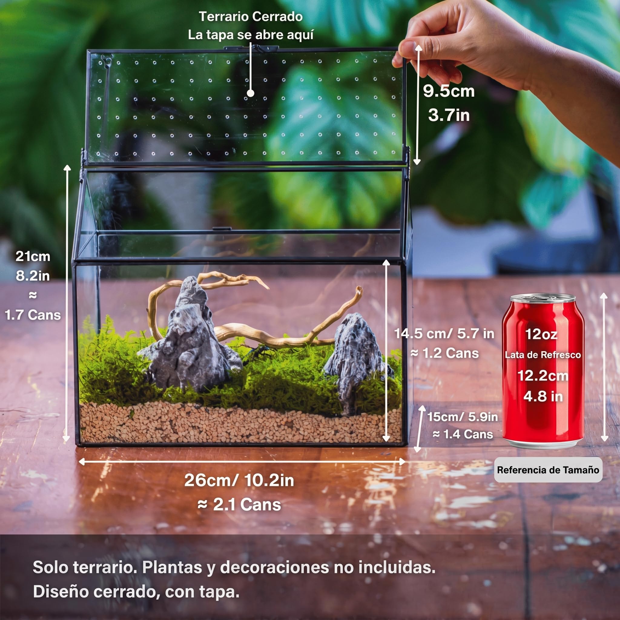 NCYP 26x15x21cm, Terrario de Cristal en Forma de Casa Con Tapa Acrílica, Caja Geométrica Grande Hecha a Mano para Caracoles, Suculentas, Plantas, Regalo DIY (Sólo Terrario)