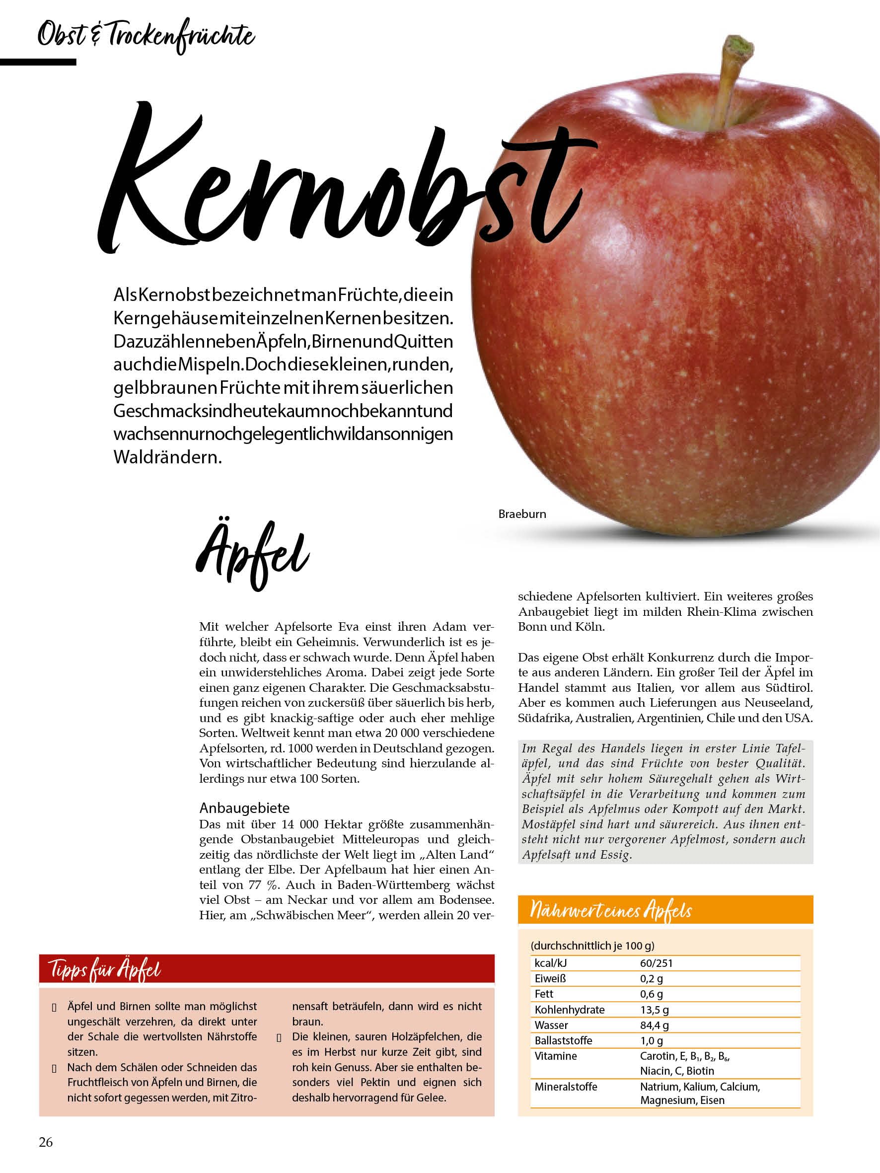 Lust auf Lebensmittel: Das Wissensbuch.