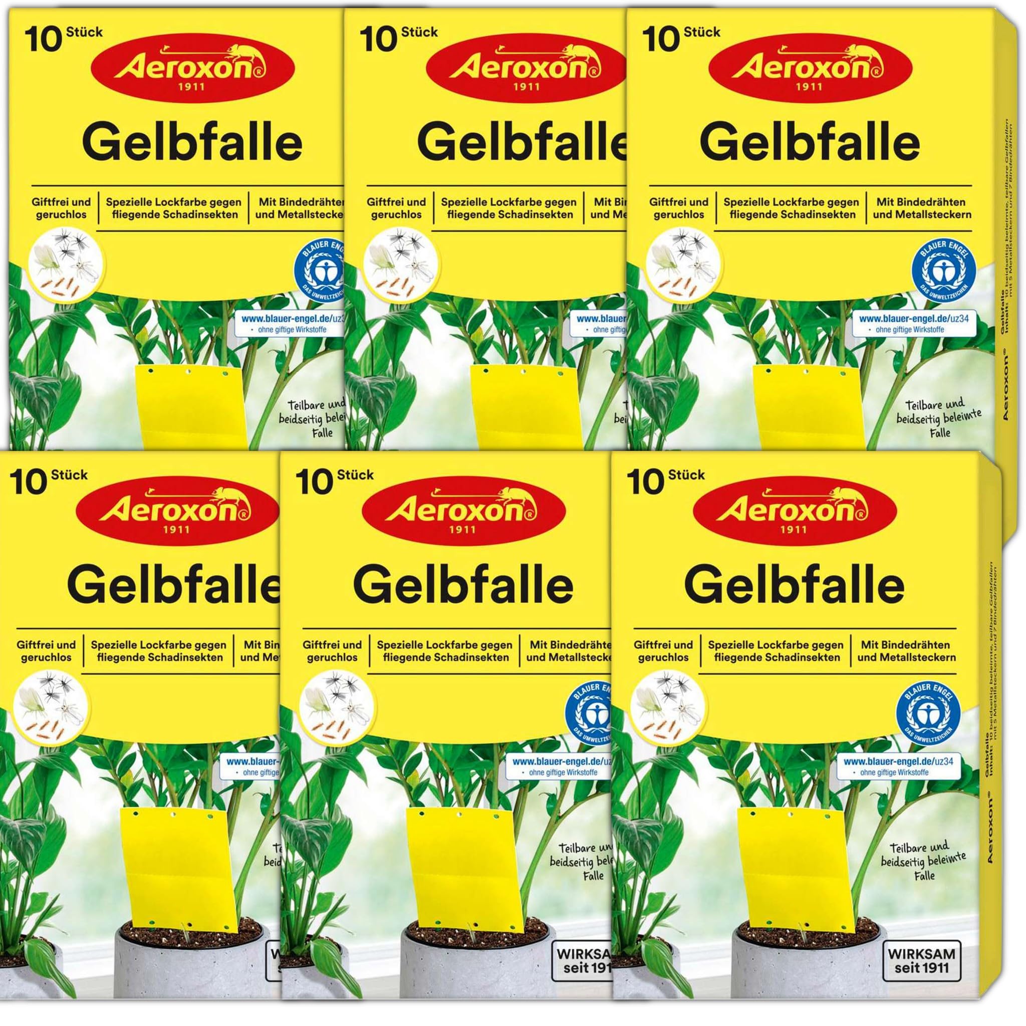 Bricoloco Trampa de Insectos para Plantas de Maceta de Interior 10 Unidades. Eficaz con Mosca Blanca, minadores de Hojas, Mosca de la Fruta y pulgón Volador. (6)