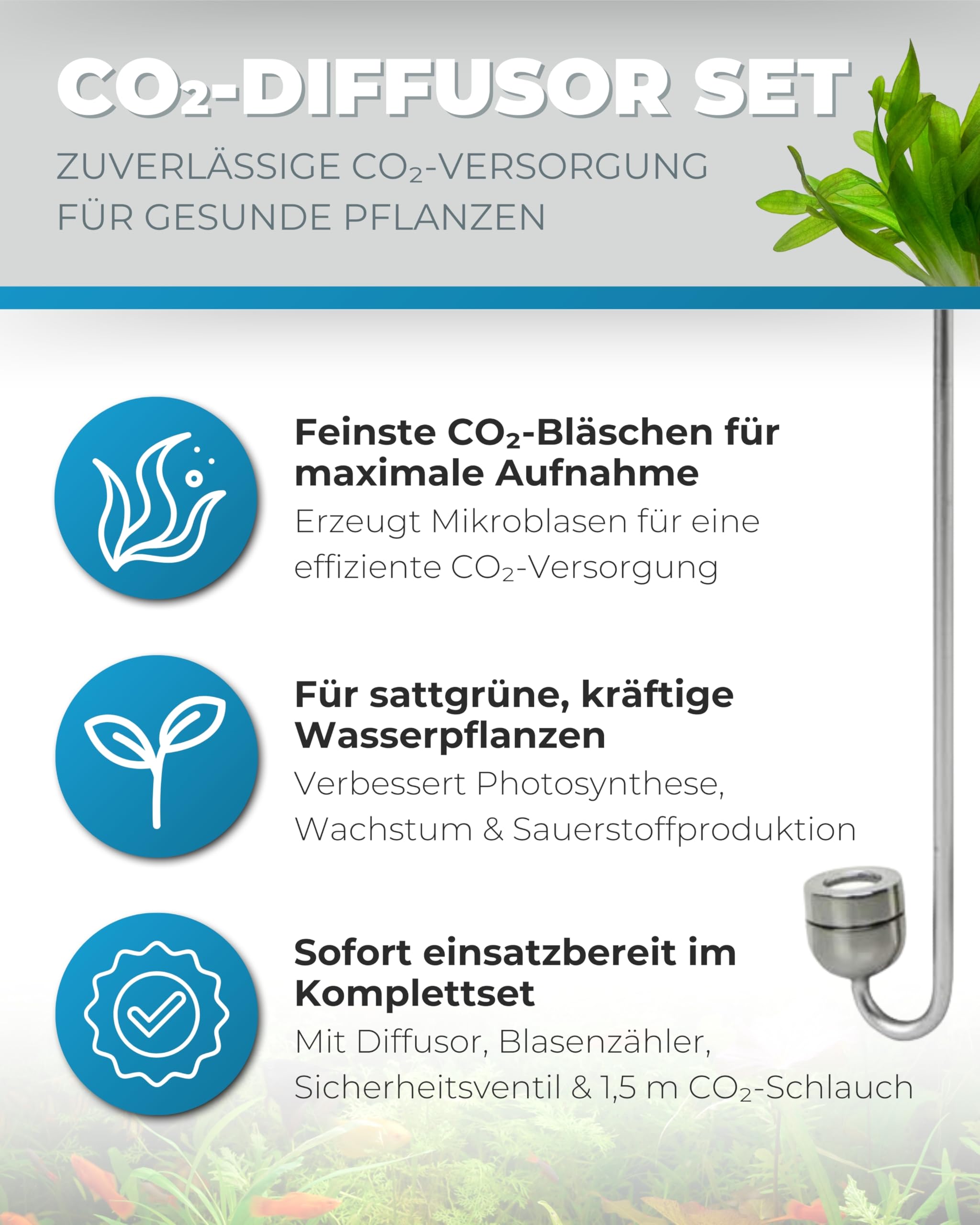 Dupla Scaping Tools CO2 Diffusor Set L - zur CO2 Versorgung im Aquarium