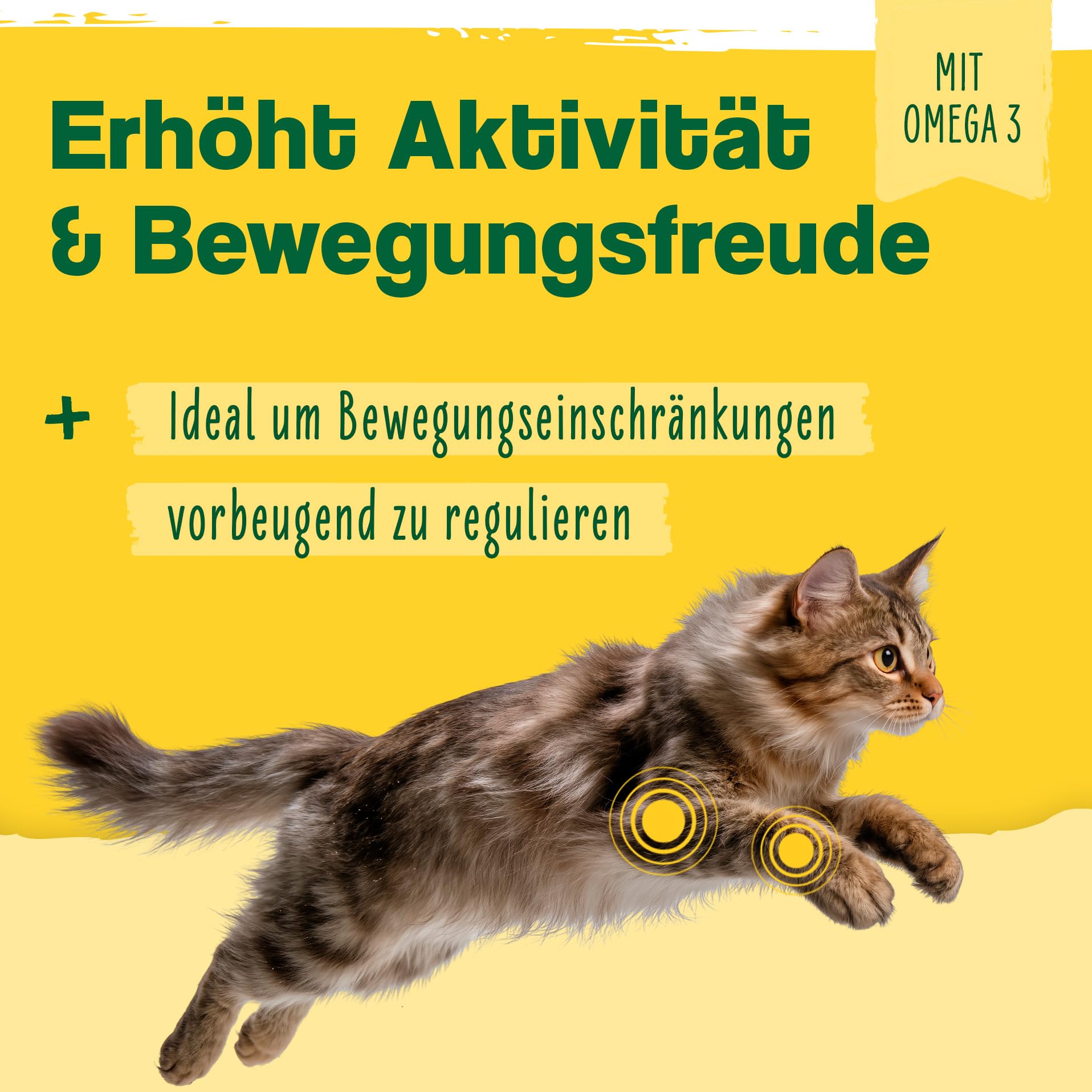Ida Plus - 100% polvo de mejillón verde para gatos -100 g - mejillón de labios verde para apoyar la función articular - Grasa completa - Sin aditivos - con glicosamaminoglicanos omega 3