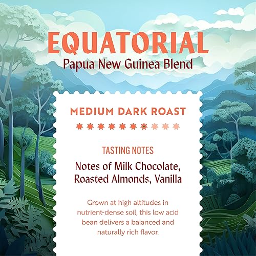 Miniatura 4 de Clean Coffee Co. - Tostado medio oscuro bajo en ácido, probado para mohos y toxinas, mezcla de Papúa Nueva Guinea, notas de chocolate con leche y