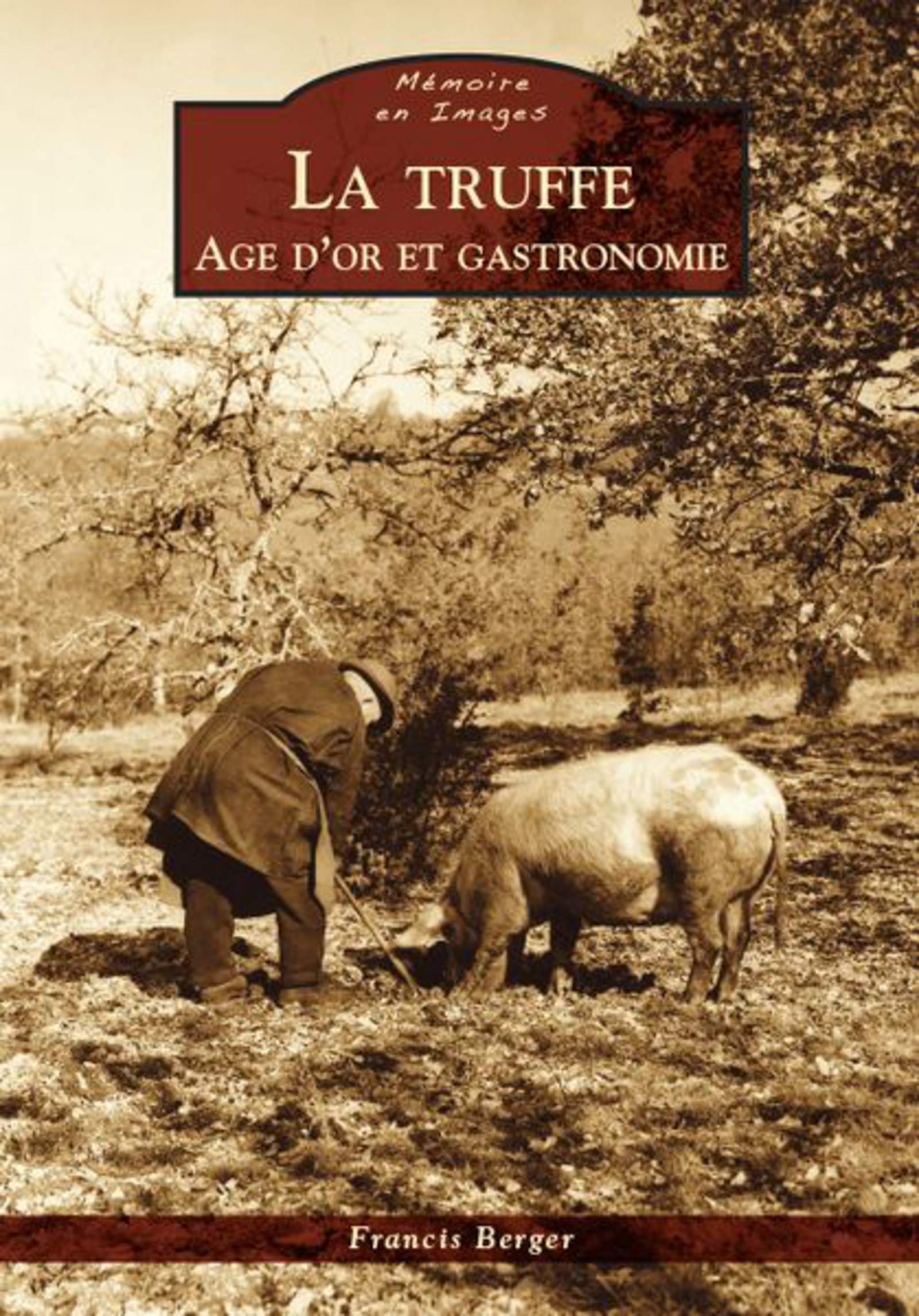 Truffe (La) - Age d'or et gastronomie (French Edition)