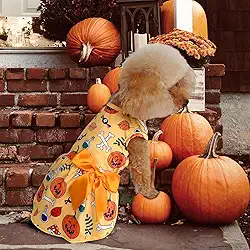 Vestidos de Halloween para cães, fantasias de cachorro, abóbora e roupa de esqueleto com laço