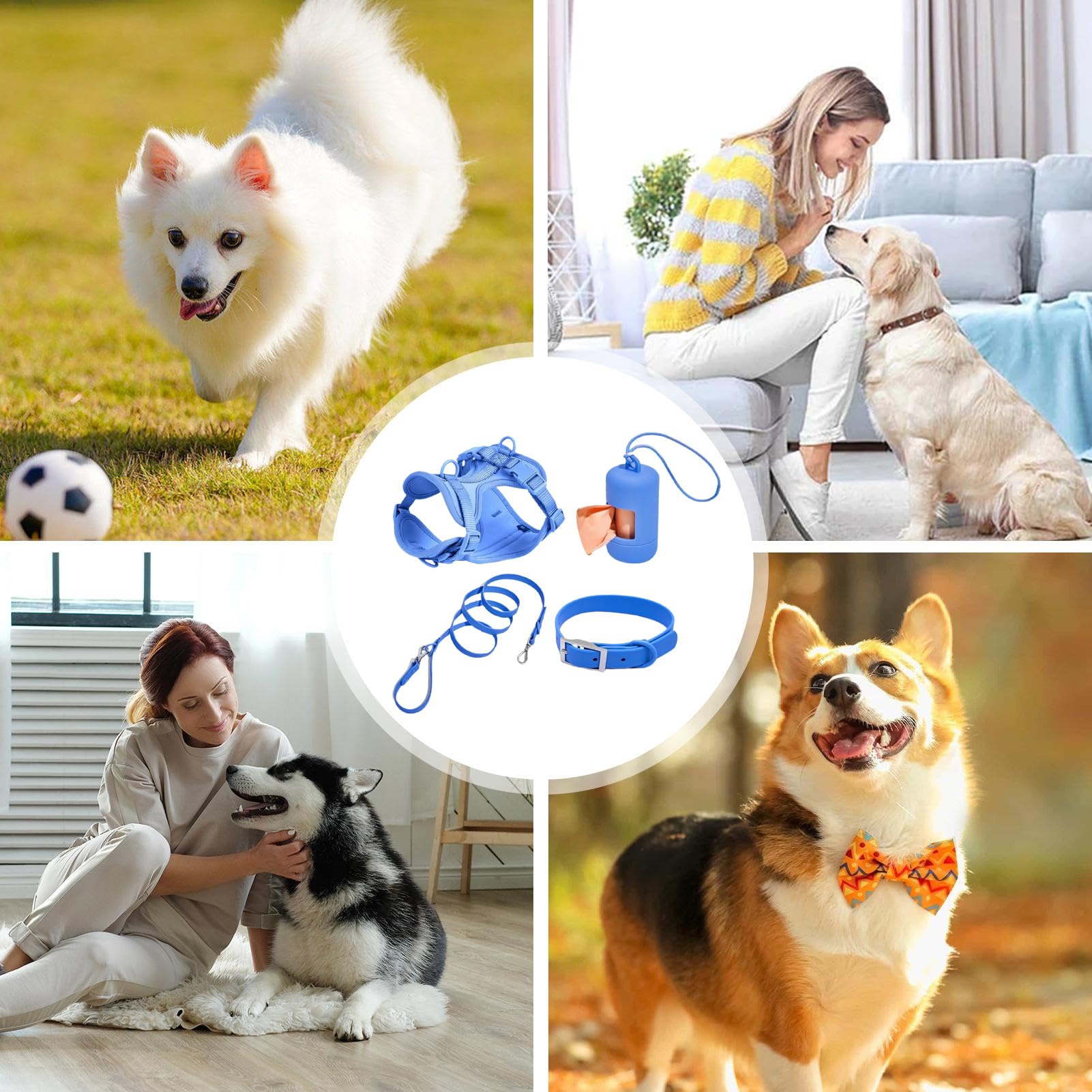 Juego de arnés para perros pequeños, arnés para perros medianos – Arnés | para mascotas, collar y correa en el set – Juego de correa «Step in No Pull» para mascotas y cachorros con Kotbeu