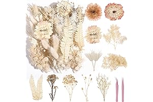 Real Dried White Flowers: Natural Beauty for DIY Creations