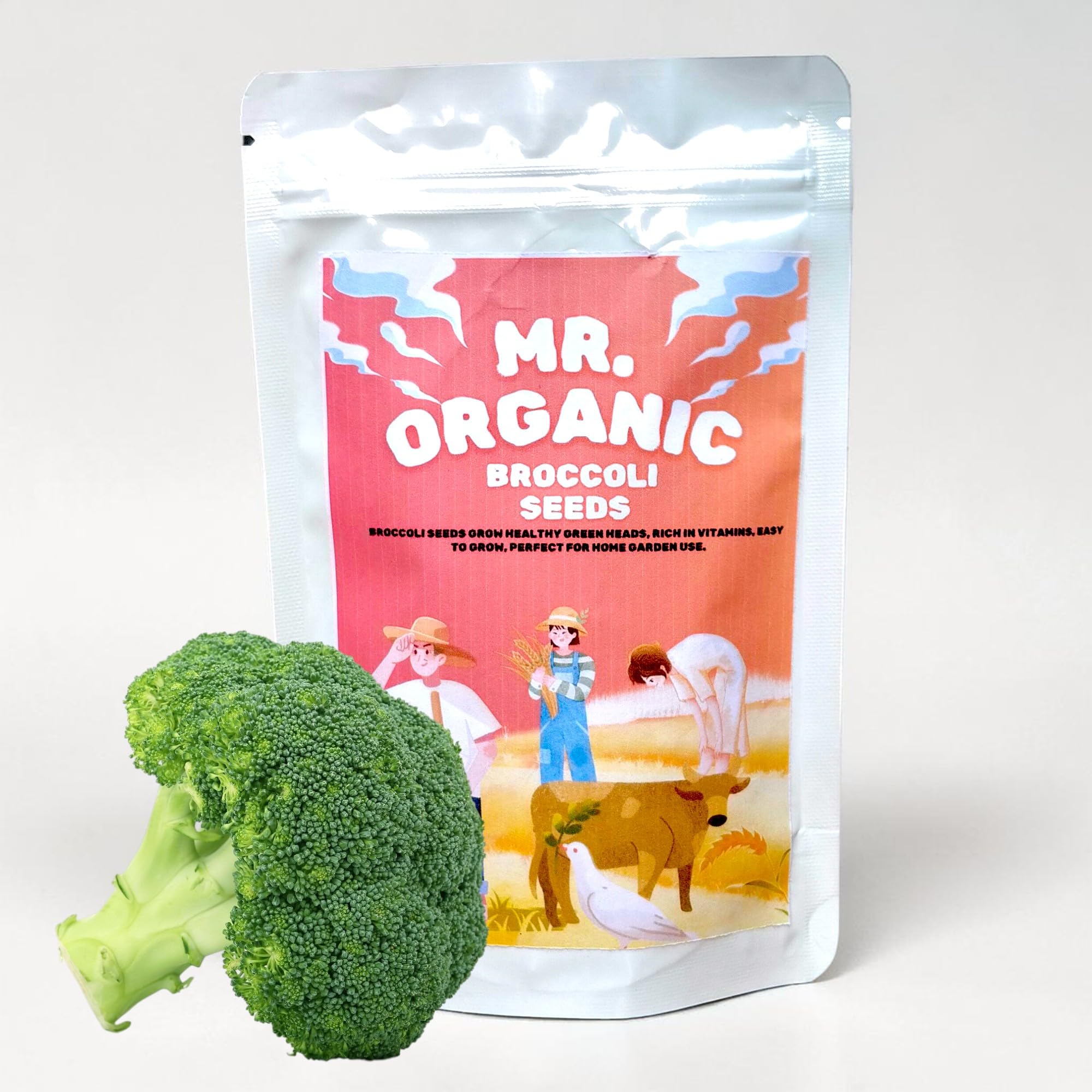 Mr.Organic Broccoli seeds For Home Garden | Vegetable planting seeds ideal for both home gardening | High Germination Rate-image-49