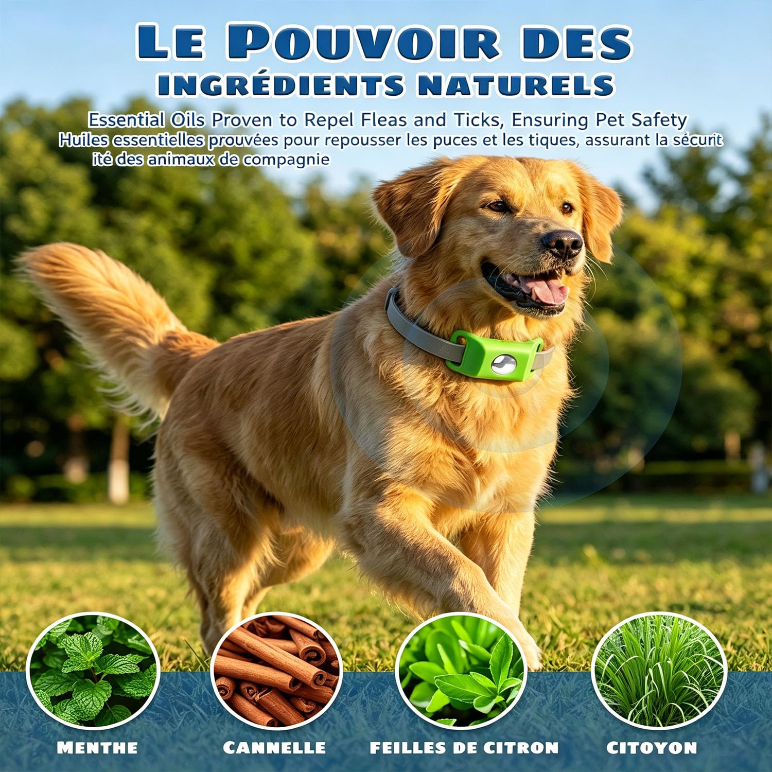 Ailence Anti Tiques – Protection Naturelle, Imperméable, La Taille du Collier Est Ajustable, sans Danger pour Les Chats Et Les Chiens, Convient à Tous Les Chats Et Chiens, Facile à Nettoyer (Noir) - 3