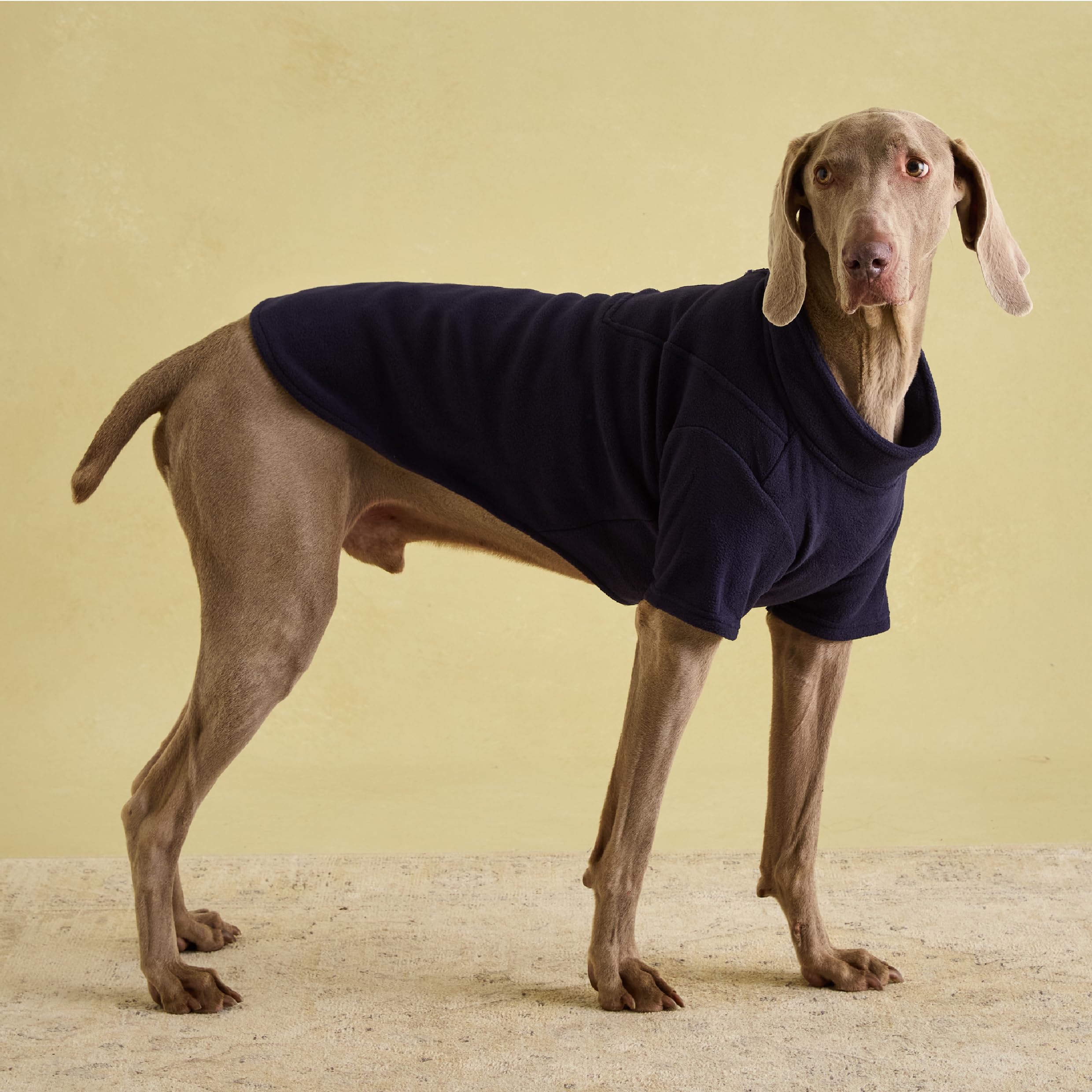 Joules Navy Fleece L - Large