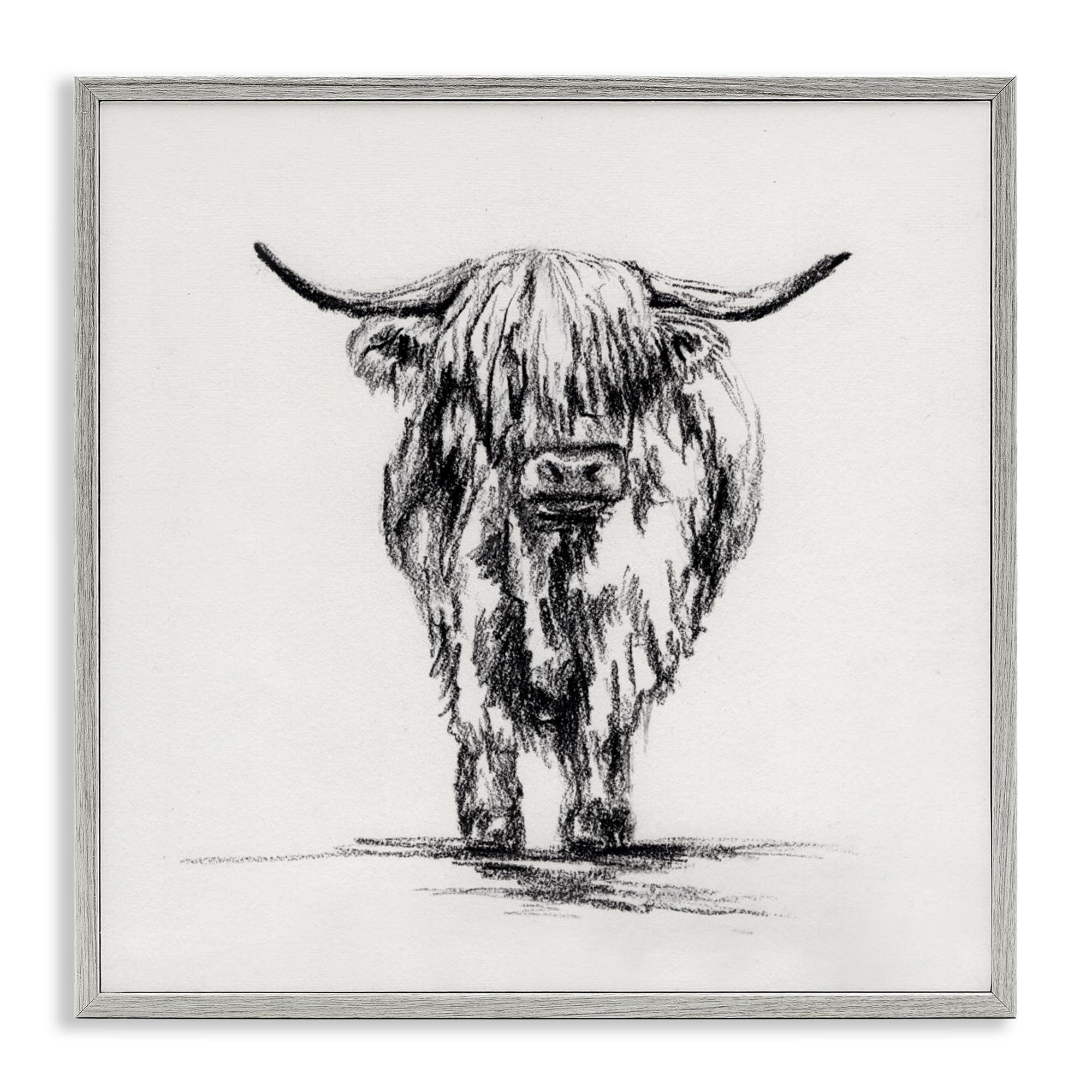 Stupell Industries 'Highland Cow in Charcoal', Framed Giclee Art, Gray, 12 x 12 Inches, Easy to Hang and Sturdy, Made in USA, by Leah Noel Art