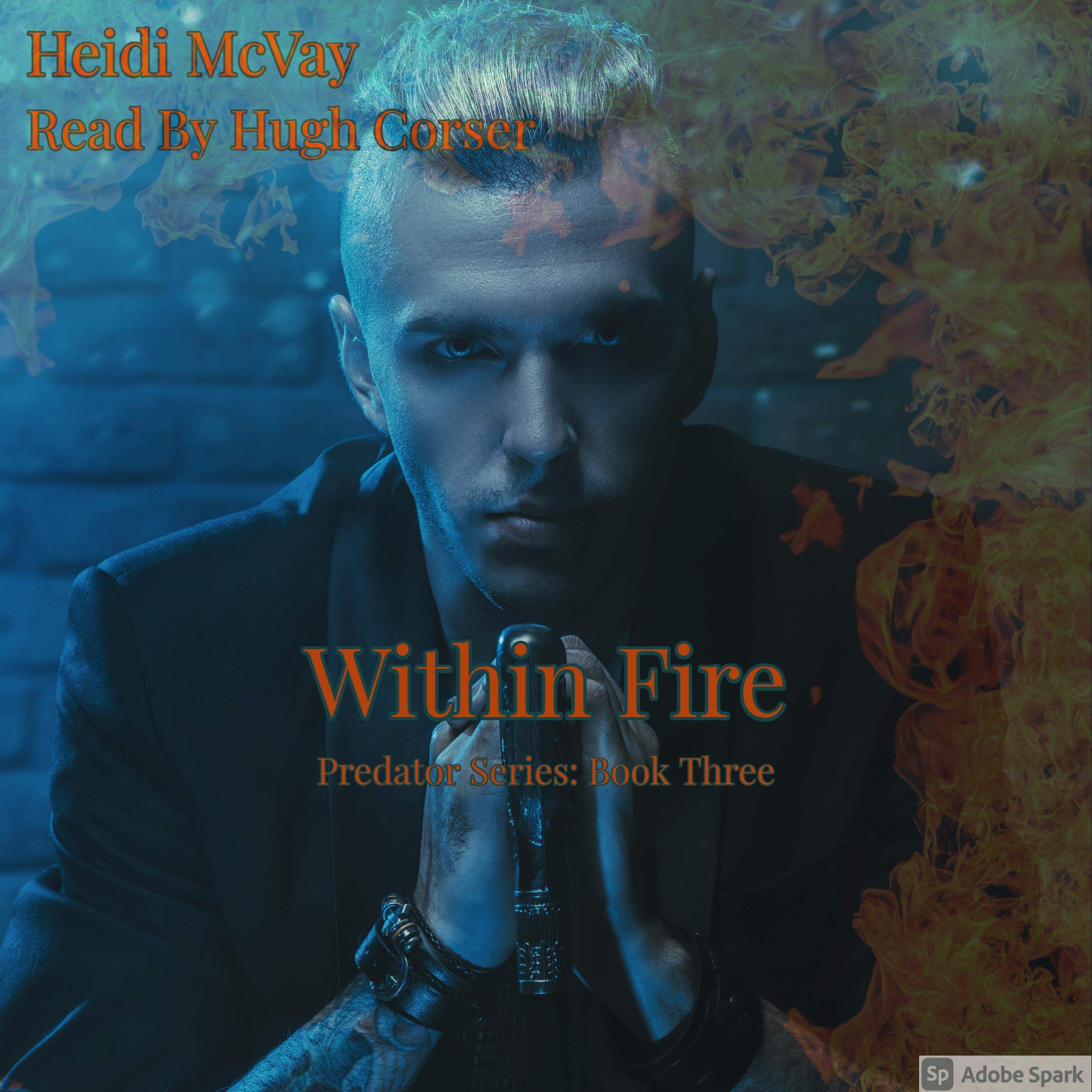 Cover art for Within Fire