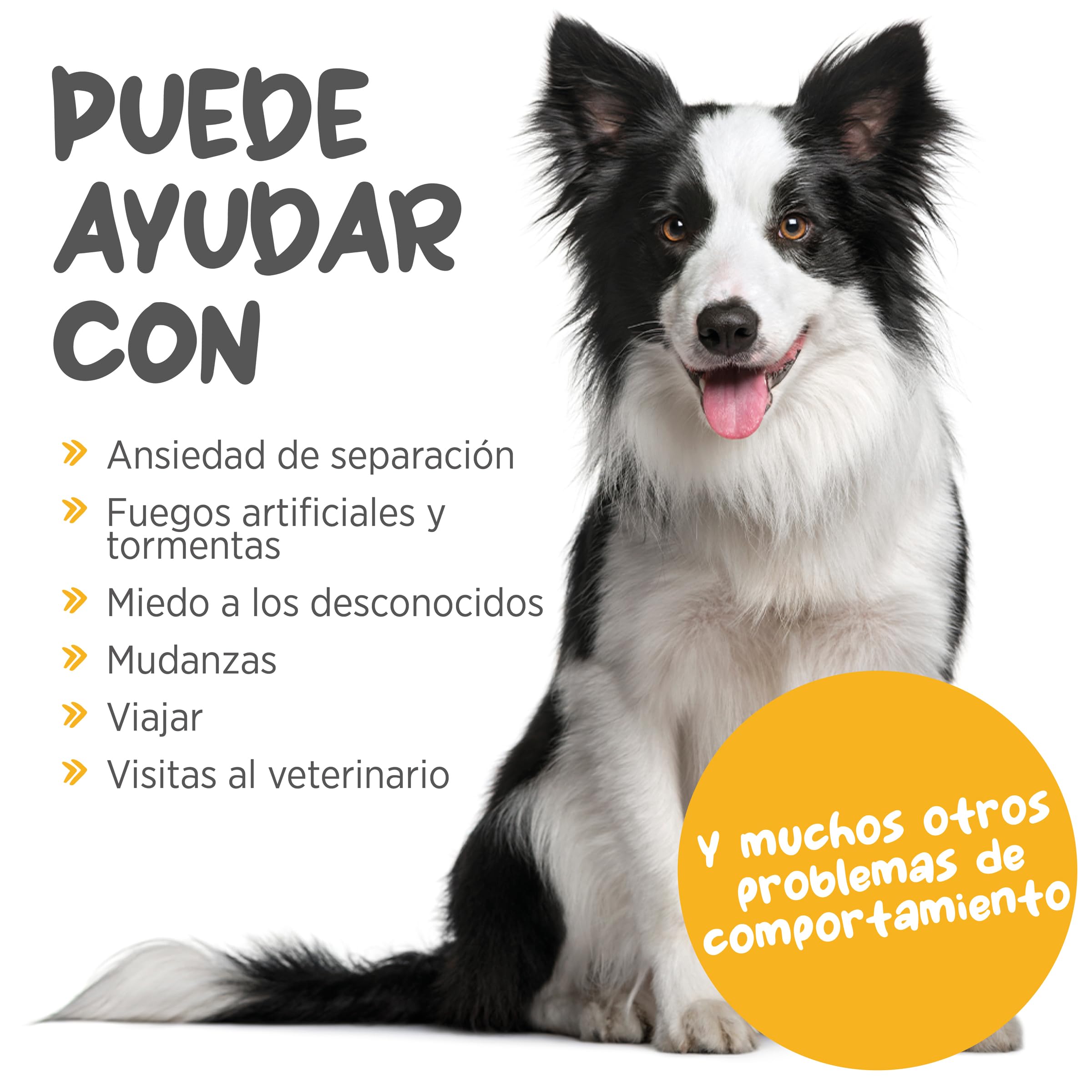maxxipaws maxxicalm Calmante Perros - Ansiedad & Estrés - 120 Comprimidos