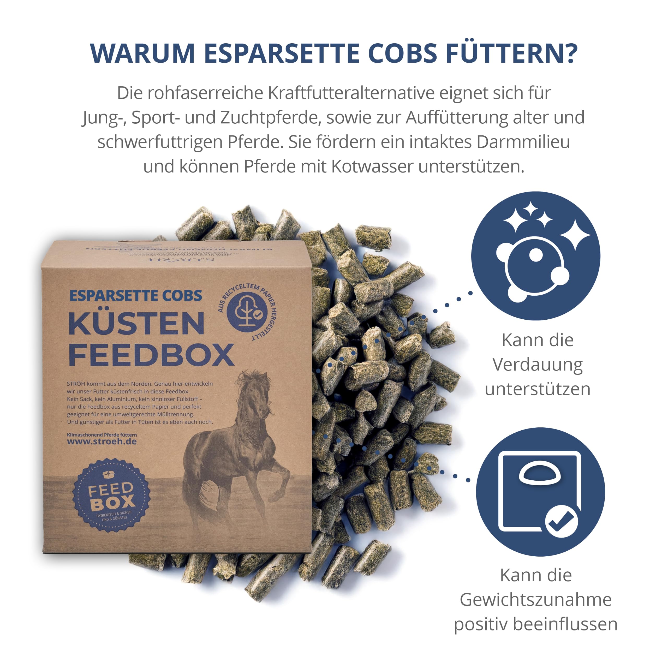 STRÖH Küsten Esparsette Cobs für Pferde - Rau-/Kraftfutter - 30kg Feedbox | Natürlicher Proteinlieferant - Heuersatz mit Aminosäuren, Calcium & Vitaminen - Ohne Stärke & Melasse - Magenfreundlich