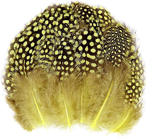 THARAHT Spotted Feathers - 120 plumas pequeñas naturales de faisán de Guinea a granel de 2 a 3 pulgadas para manualidades, sombreros, atrapasueños,