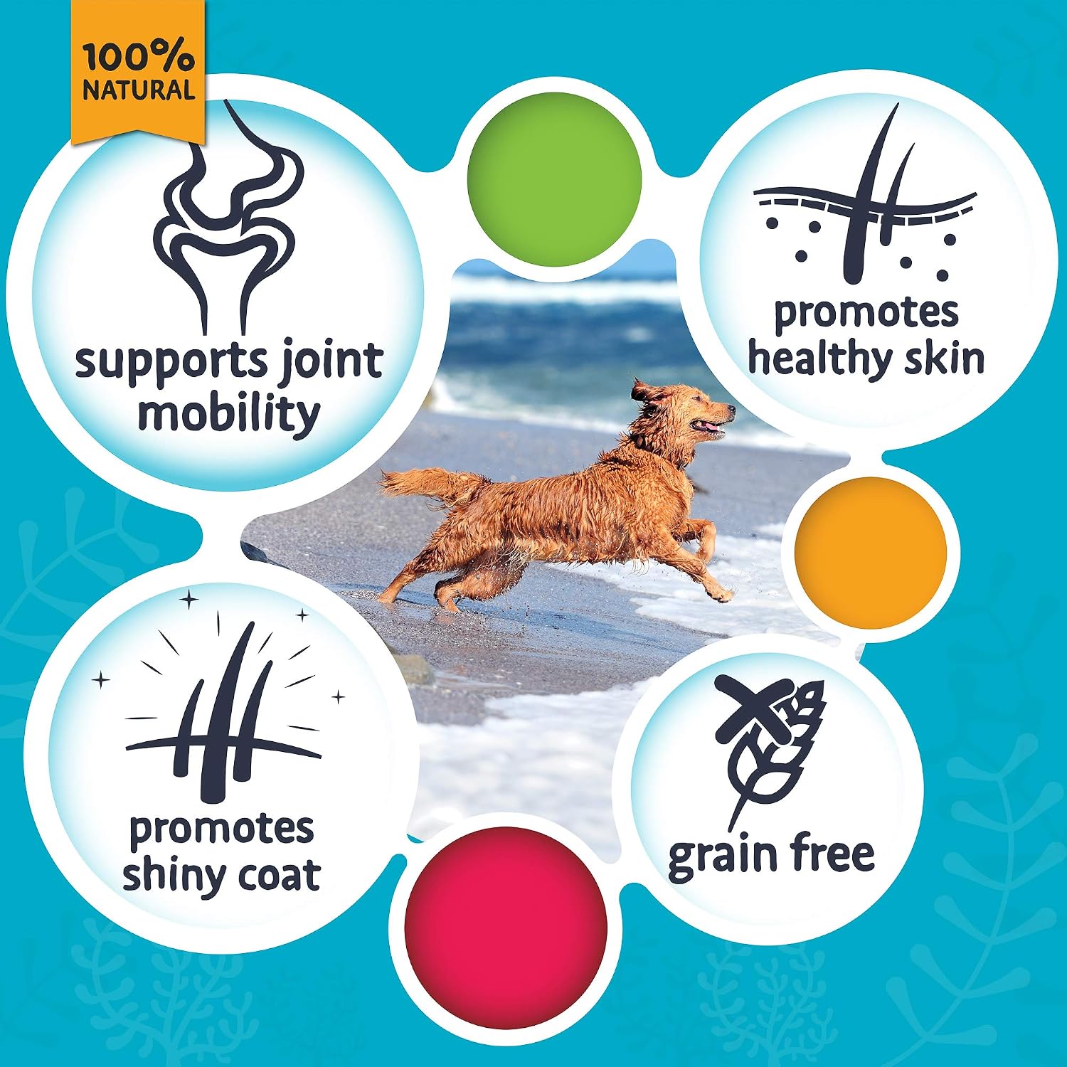 SKIPPER'S Fish Skin Strips, Grain & Cereal Free Dog Treats, Gently Air Dried Long Lasting Fish Skin Chews - Image 4
