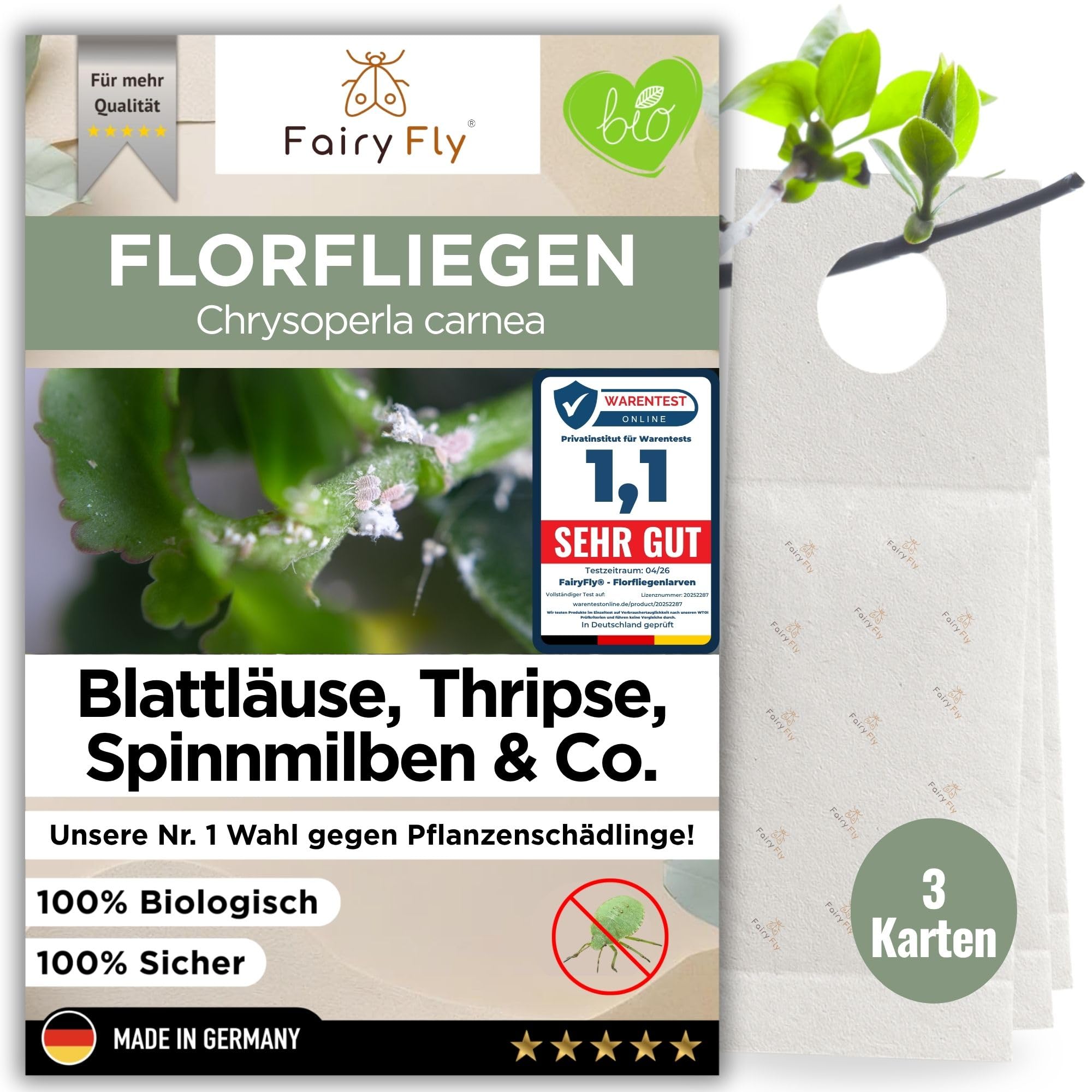 FairyFly® Florfliegenlarven gegen Blattläuse & Wollläuse (3 Karten) – Nützlinge zum Aufhängen für Zimmerpflanzen – biologische Schädlingsbekämpfung ohne Chemie – Florfliegen Eier