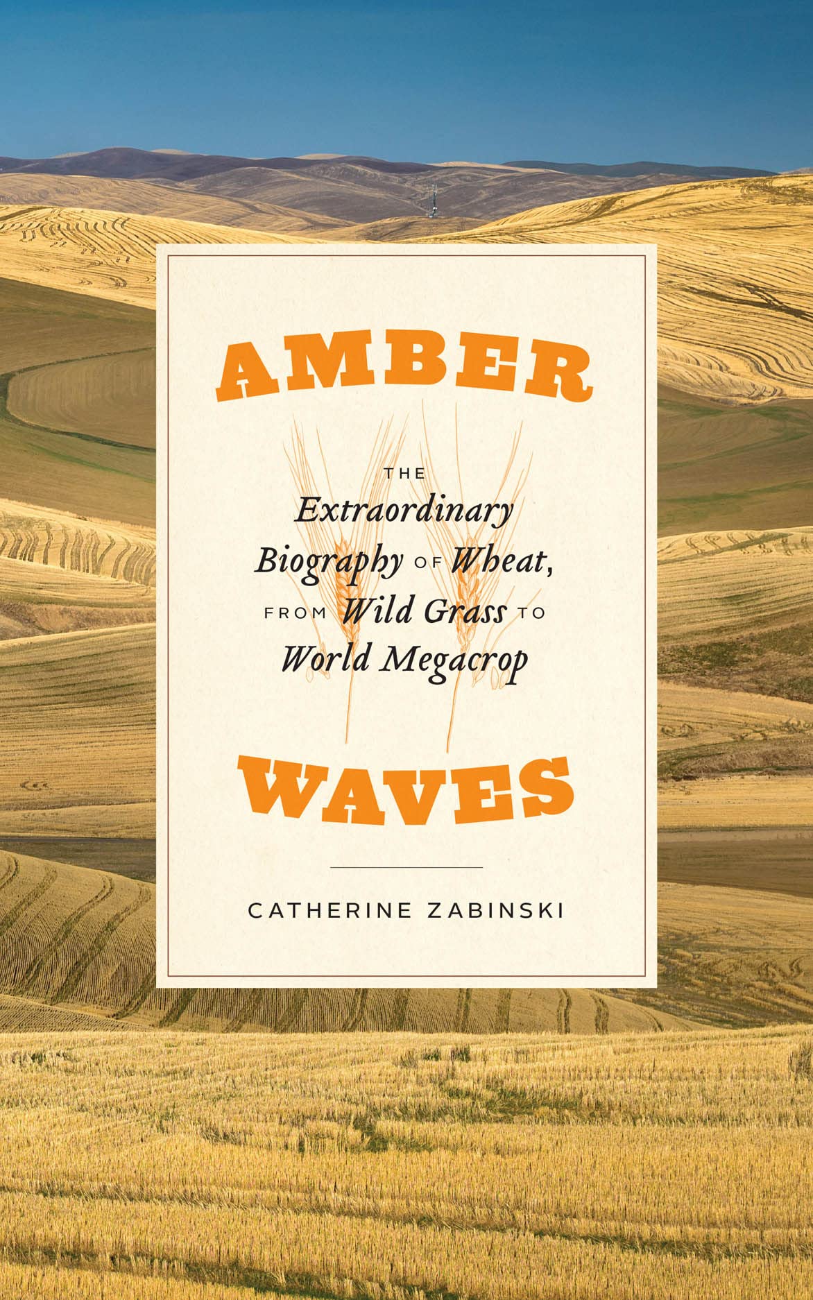 Amber Waves – The Extraordinary Biography of Wheat, from Wild Grass to World Megacrop