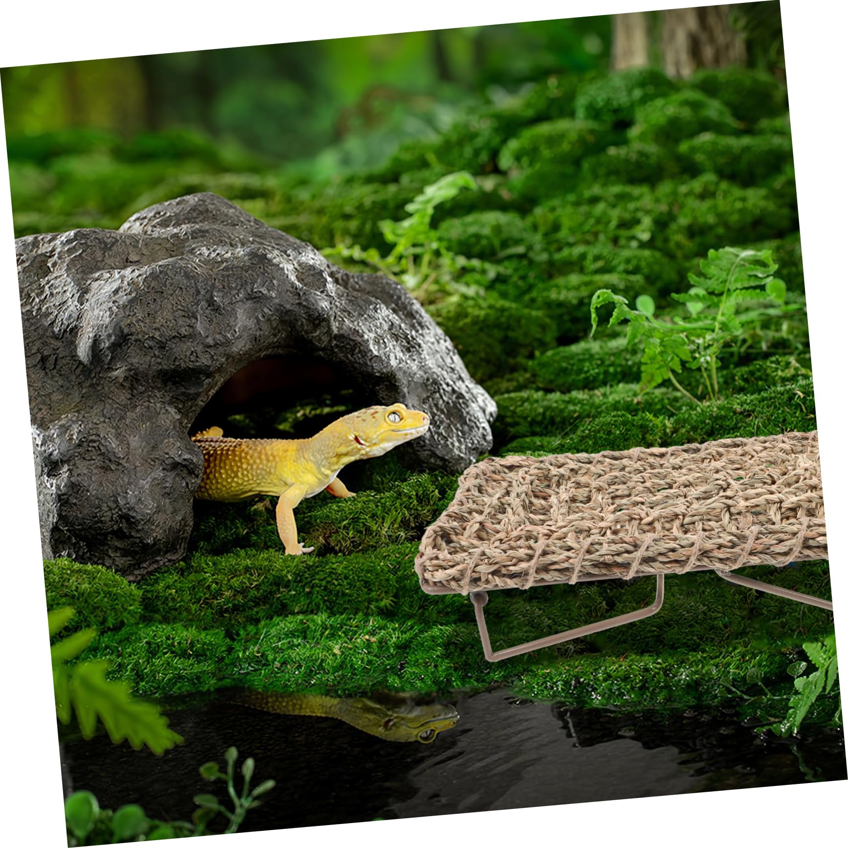 Angoily Reptilienbed Lizard Lounger Mit Stabilem Eisenrahmen Gewebte Strohmatte Schlafplatz Für Eidechsen Und Bartagamen Vielseitiges Haustierzubehör