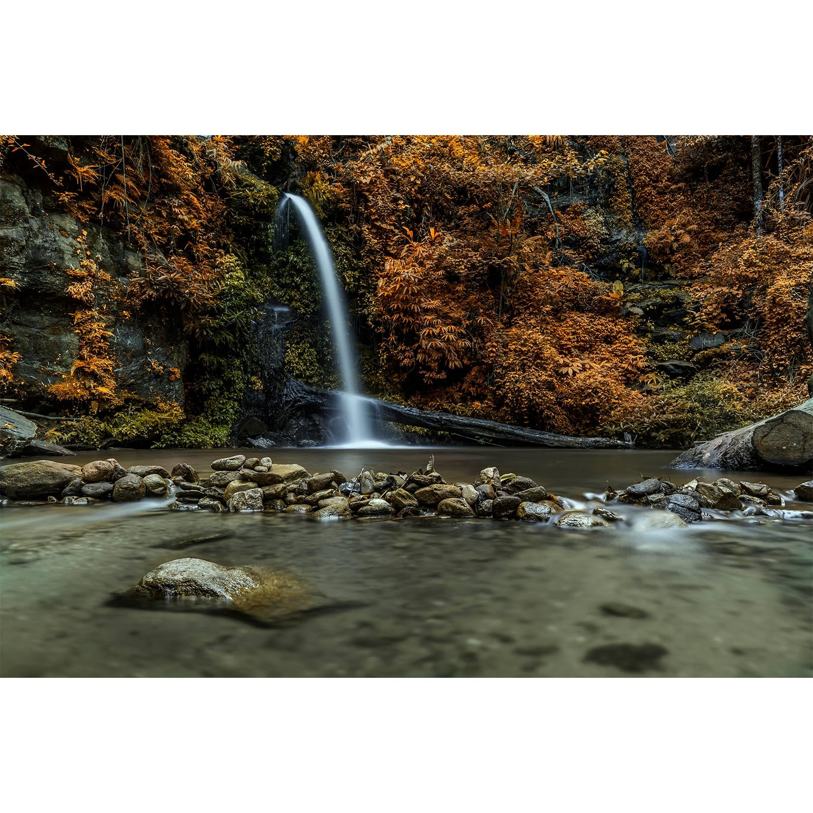 Waterfall Aquarium Background Natural Autumn Forest Yellow Leaves Landscape Terrarium Background Tranquil Lake Stream with Rocks Fish Tank Background Falls Theme Aquarium Backdrop Vinyl 48x24in