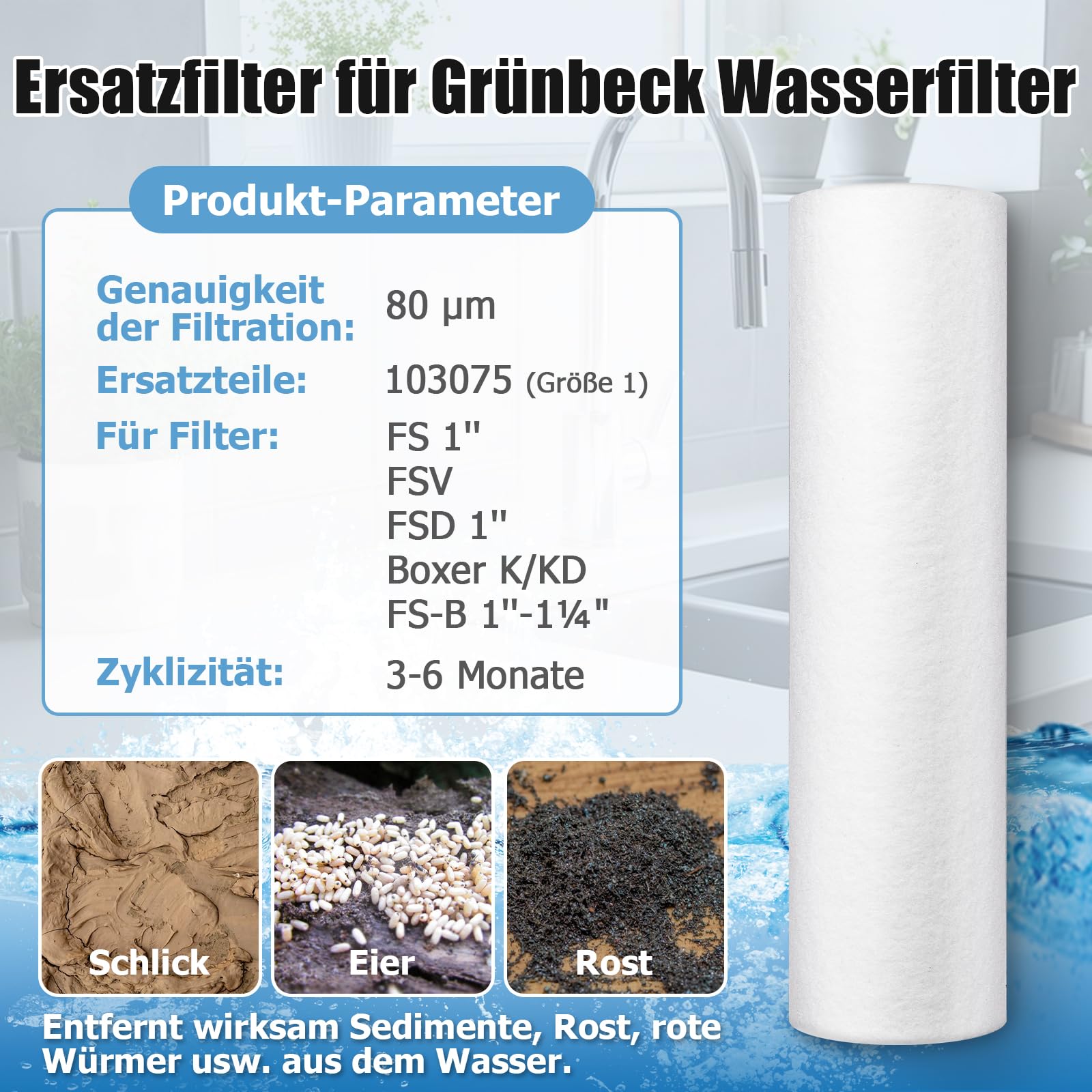 4 filtri di ricambio compatibili con filtro dell'acqua Grünbeck FS 1, filtri