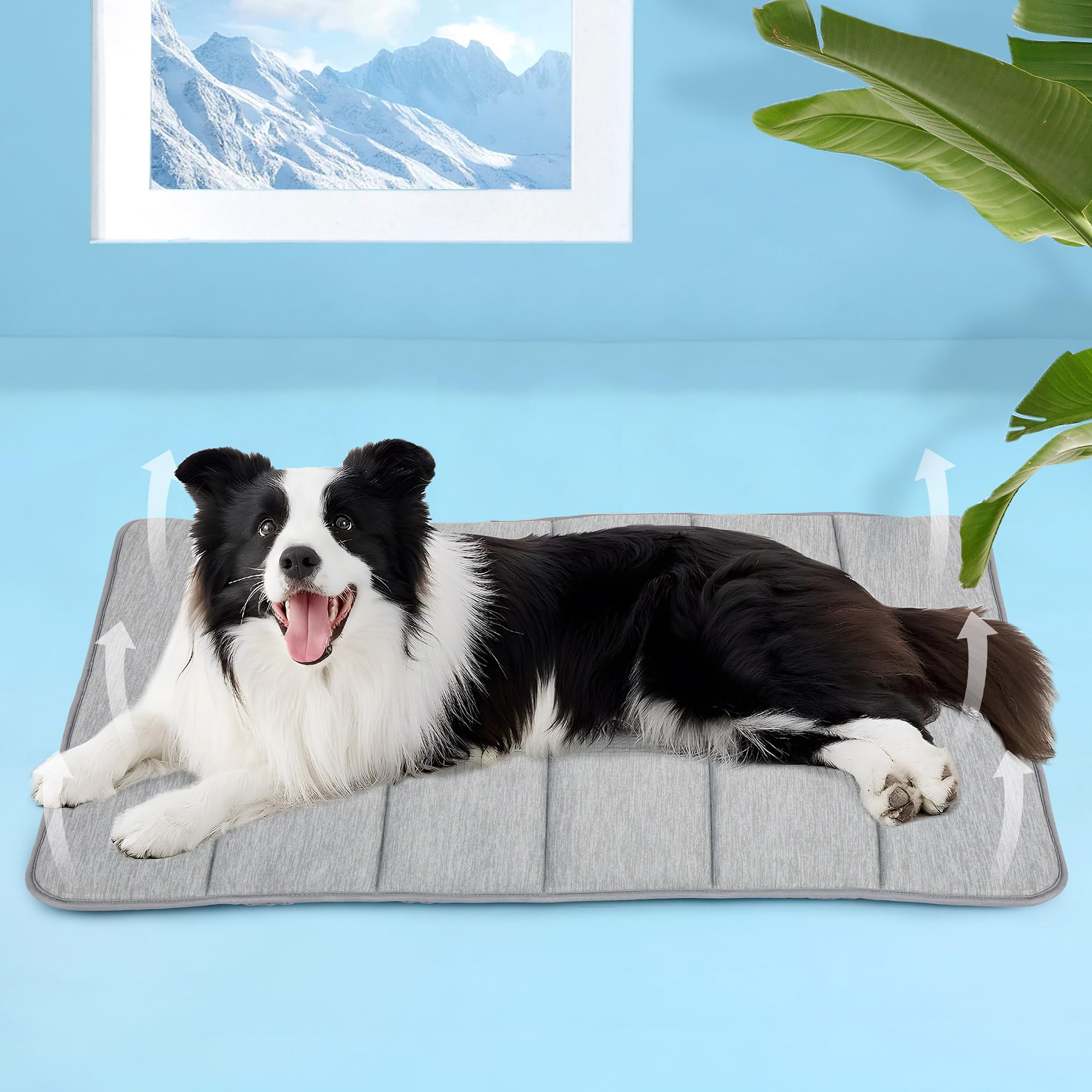 Chicute - Tapete de enfriamiento para perros grandes, almohadilla ortopédica de espuma viscoelástica para mascotas, para verano, QMAX>0.5, almohadilla lavable de alta calidad para tu