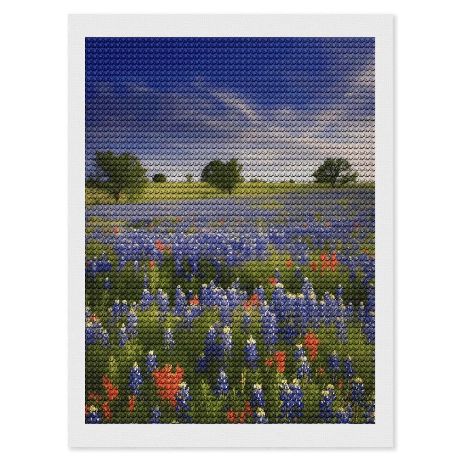 FekiLoot Texas Bluebonnets Scenery Paint by Numbers Kit for Adults Beginner DIY Diamond Dots Paintings Round Full Drill Diamond Art Kits Picture Diamond Art Painting Kits for Home Decor 12"x16"