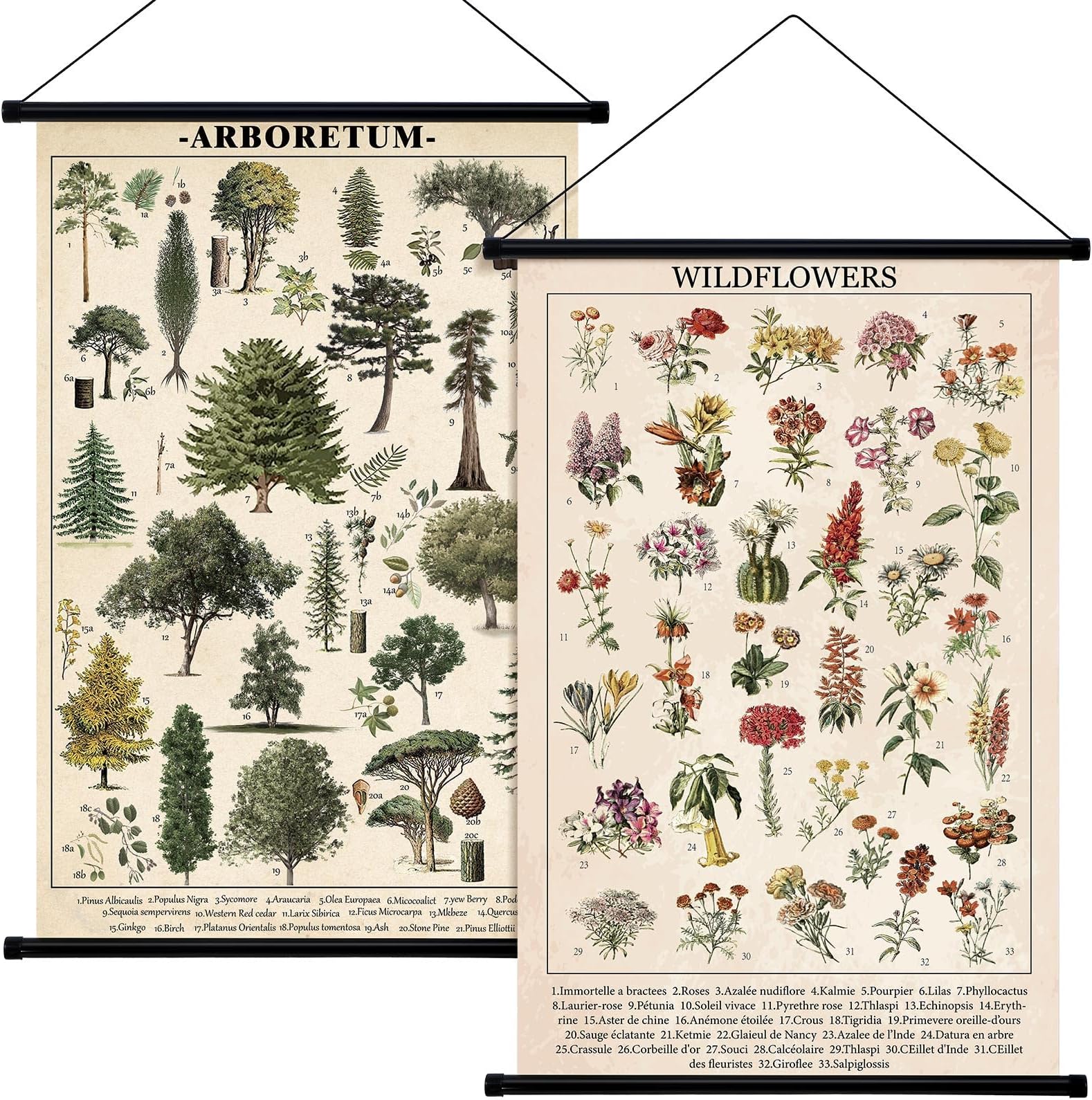 Lewtemi 2 Pcs Vintage Mushroom Flower Butterfly Poster Fungus Rustic Wall Hanging Illustrative Reference Chart Poster for Living Room Bedroom, 15.4 x 23.6 Inch(Flower, Tree)