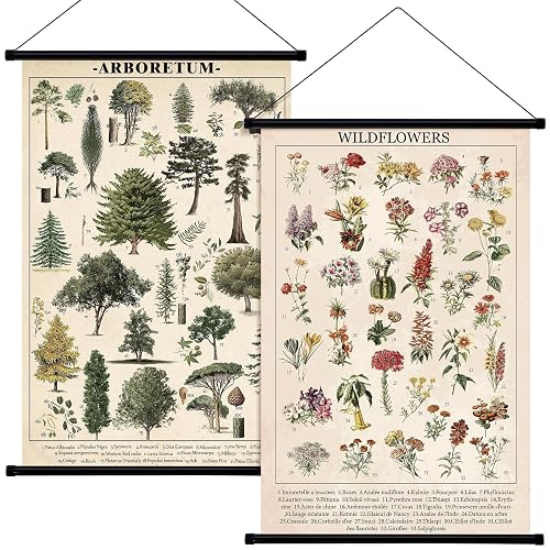 Geosar 2 Pcs Vintage Mushroom Flower Butterfly Tree Poster Fungus Rustic Wall Hanging Illustrative Reference Chart Poster for Bedroom Living Room, 15.7 x 23.6 Inch(Flower, Tree)