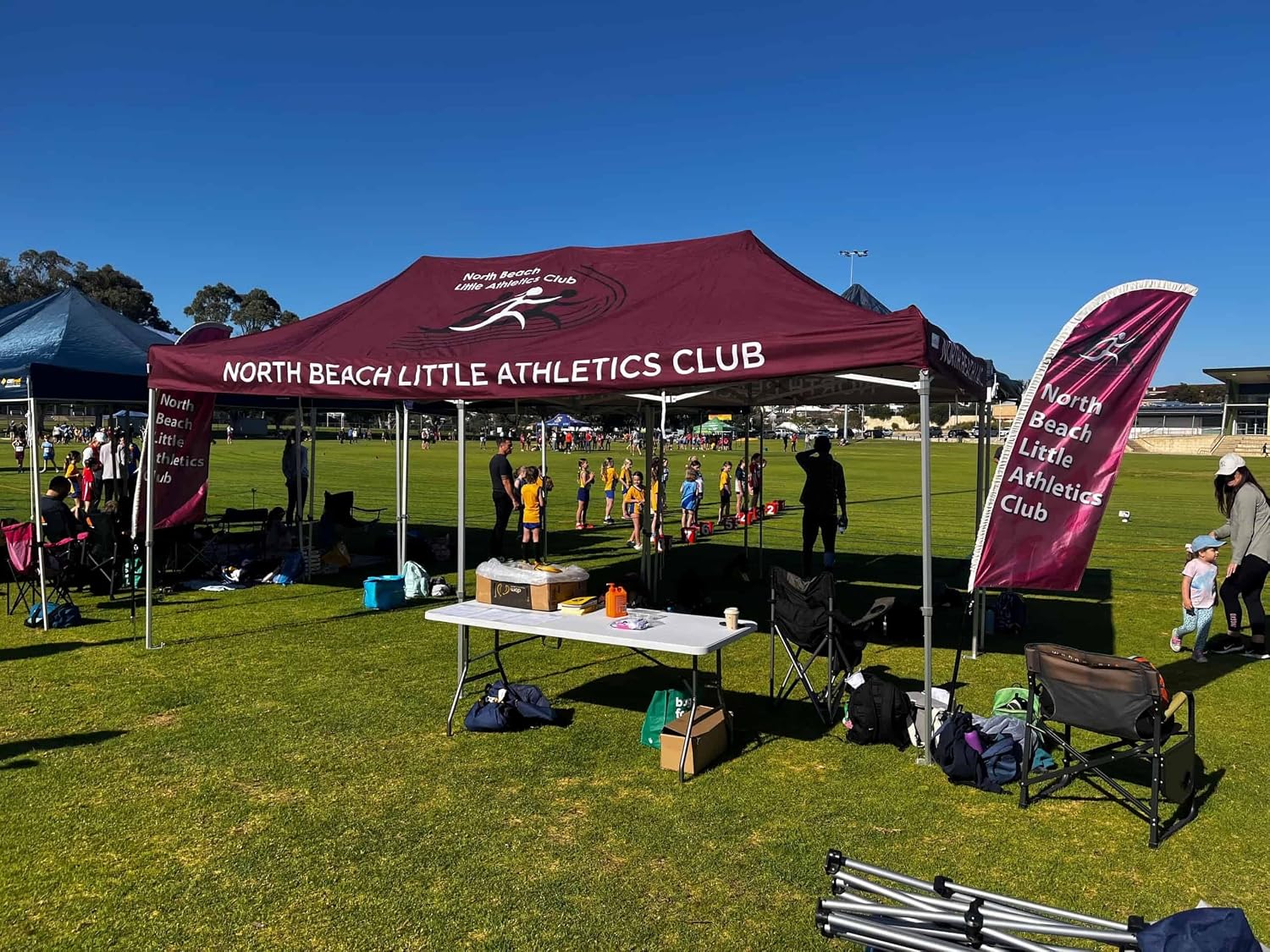 Custom Canopy Tent with Logo Printed Pop Up Tents with Optional Sidewalls or Table Cover or Customized Flag Personalized Advertising for Tradeshows Outdoor Event Market Business (10X20 Tent Custom)