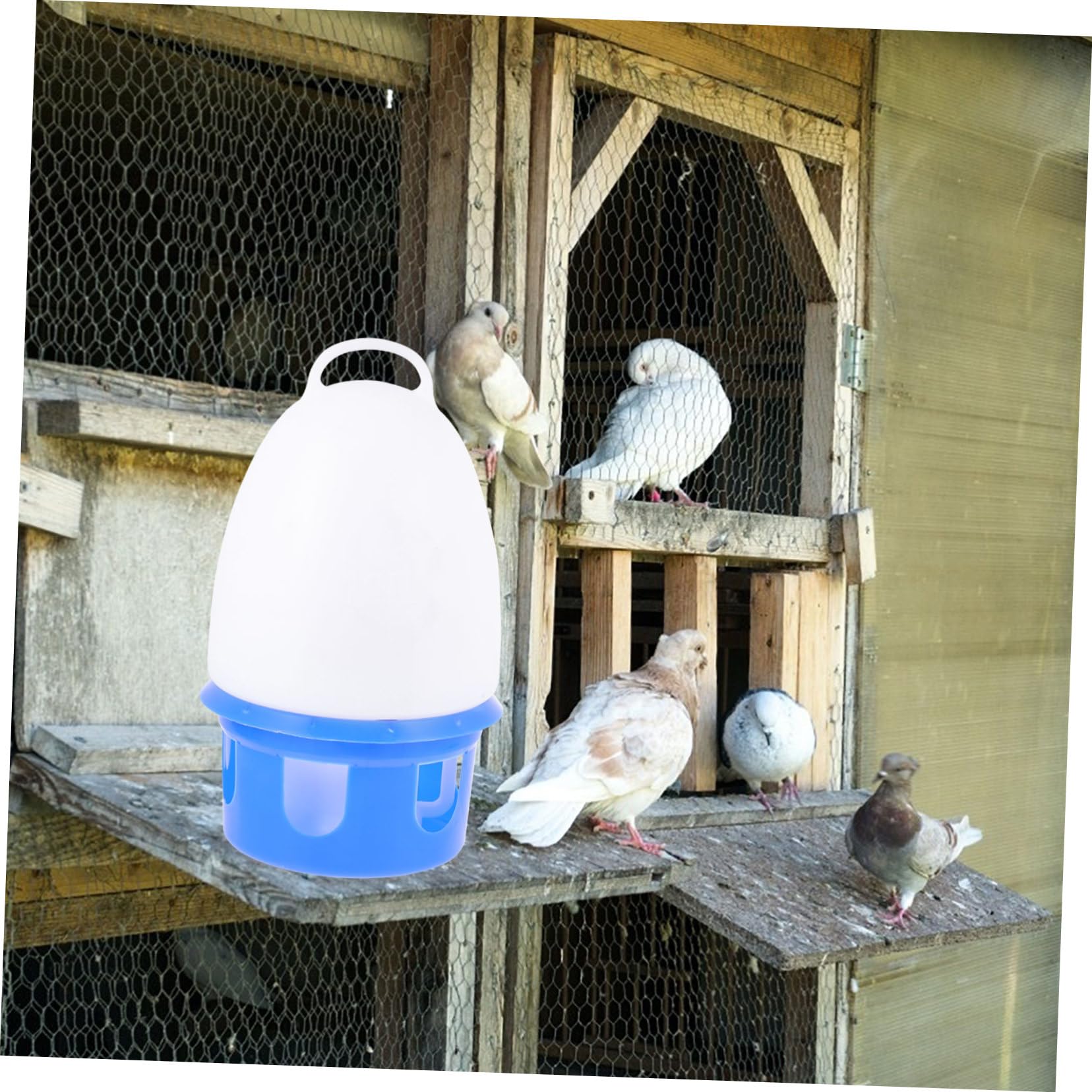 Beverino Automatico per Piccioni in PVC Rimovibile Blu Rotondo | Beverino Automatico per Uccelli, Colomba Domestica e Parrocchetti, 1 Pezzo, per Decorazione della Casa