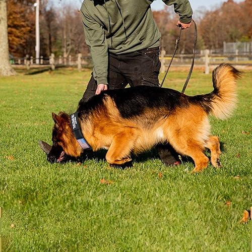 Miniatura 8 de Collar táctico para perro con bandera estadounidense de Estados Unidos, collar militar grueso con asa, hebilla de metal ajustable de nailon