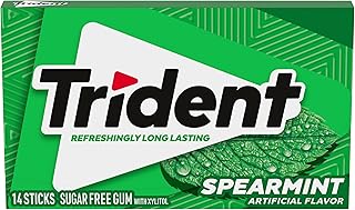 Trident Spearmint Sugar-Free Chewing Gum, 14 Pieces (Pack of 1)