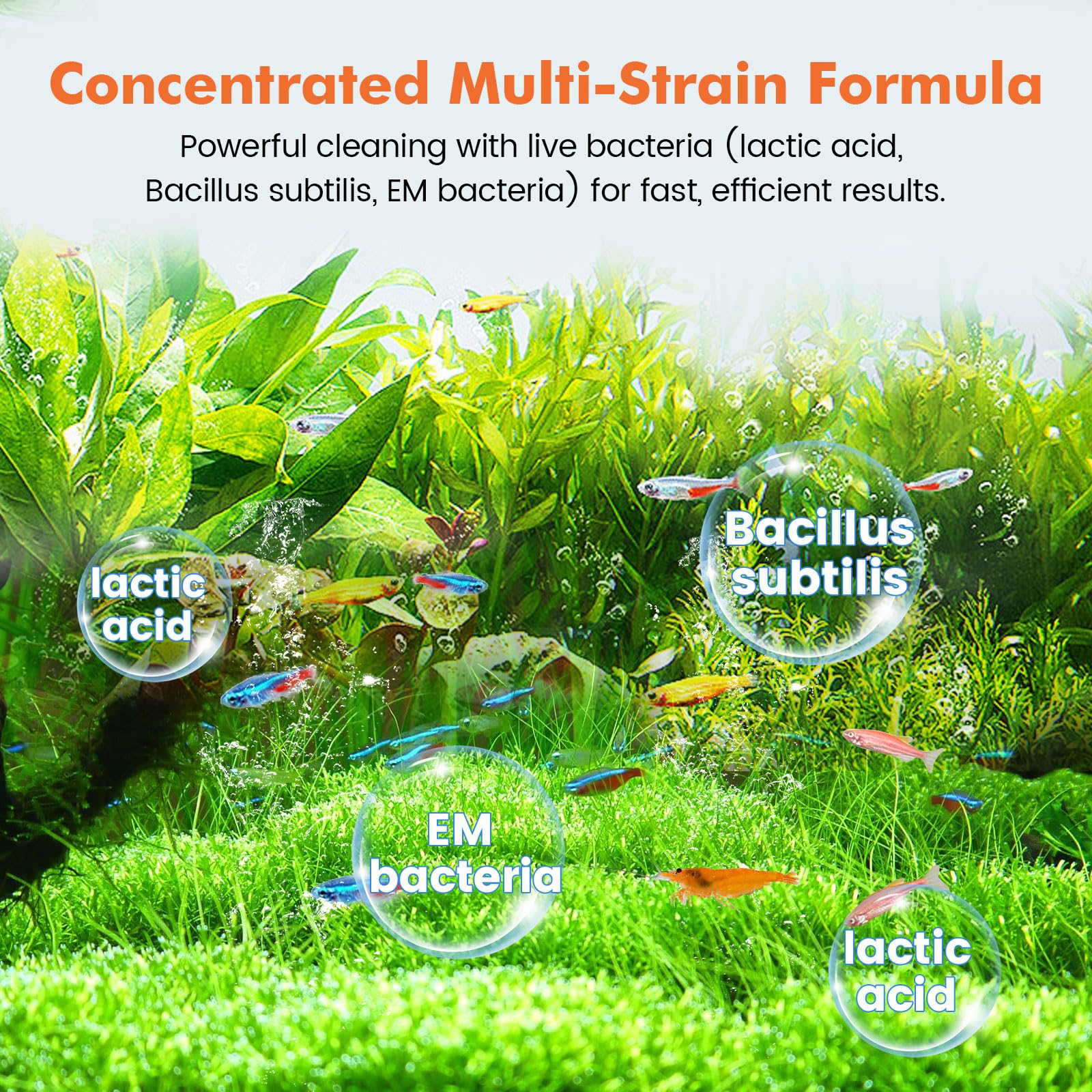 hygger Bio-clarificador de agua de acuario, reduce el desperdicio de peces y limpieza de lodos orgánicos, solución natural de gestión de residuos para acuarios de agua dulce y salada, 1000 ml