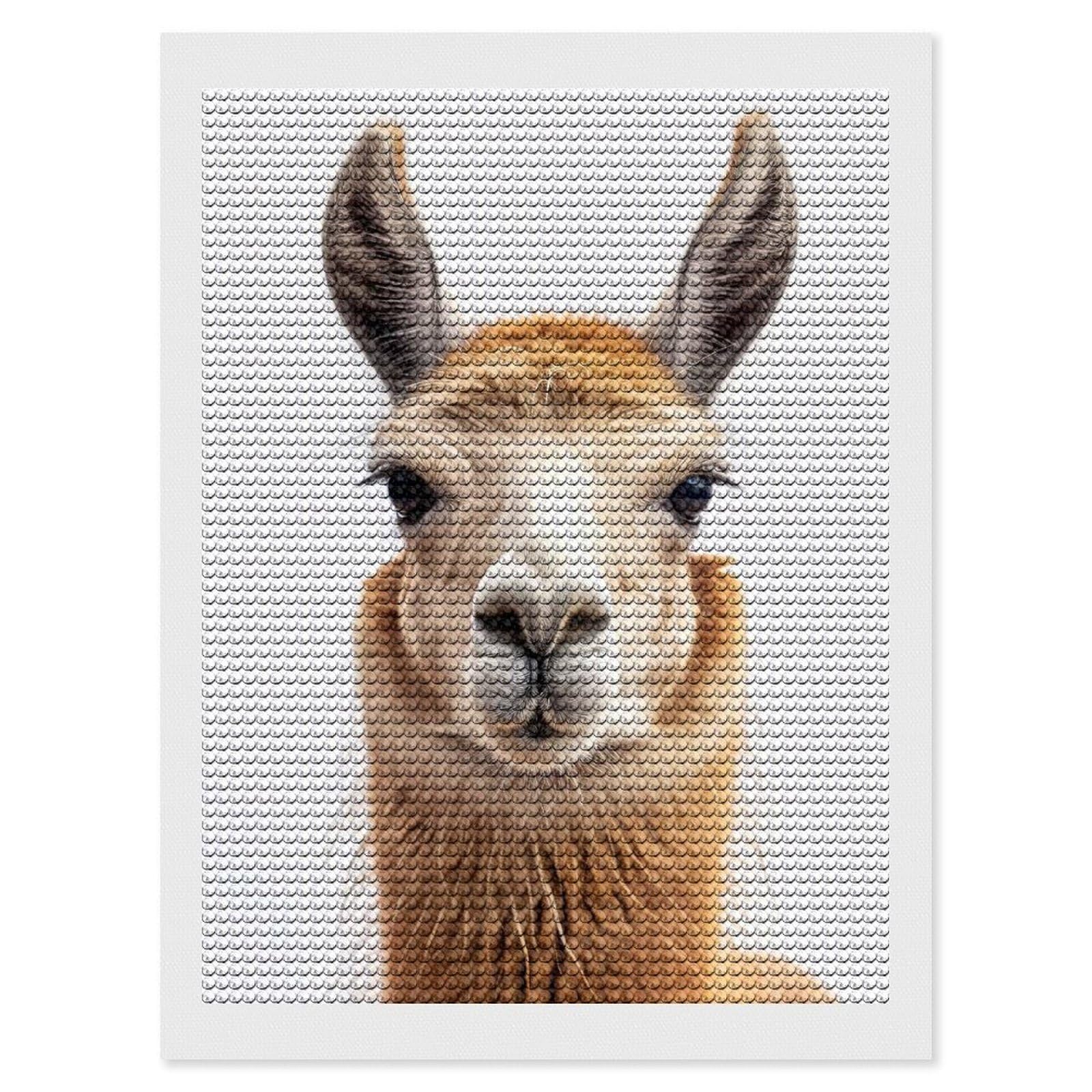 Junmoney Llama Face Diamond Painting Canvas Set 12"x16", for Adults, Bedroom Decor, Good for Quiet Evenings, Festive Craft Gift