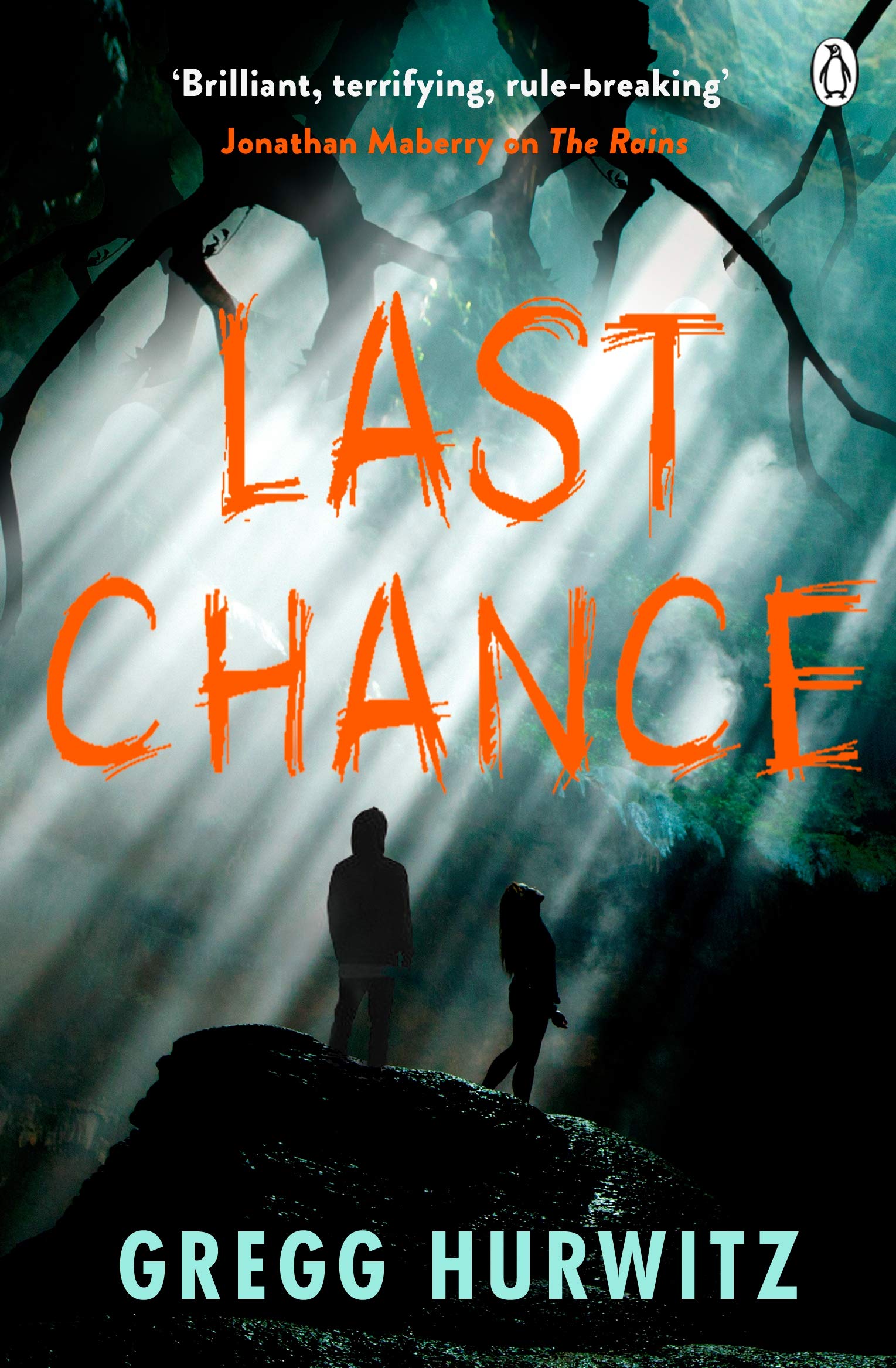 Last Chance: A Novel (The Rains Brothers, Book 2)