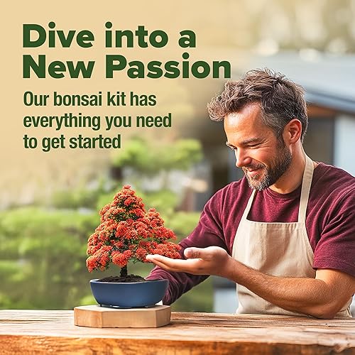 Miniatura 5 de HOME GROWN Kit de árbol bonsái de 6 variedades tradicionales con macetas únicas, kit de iniciación de bonsái de bricolaje para adultos y