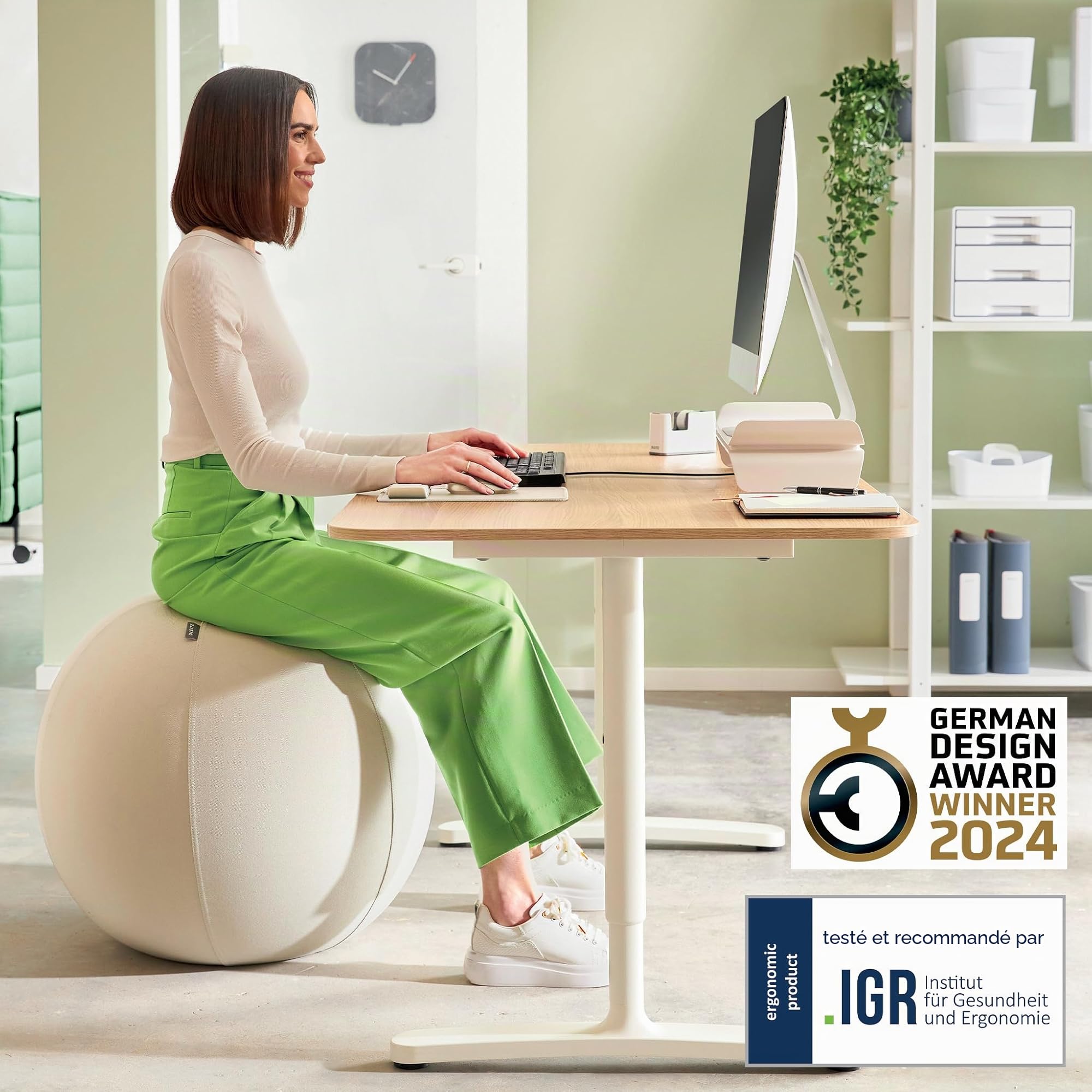 Ballon d'assise Leitz Ergo Active, Fonction Anti-basculement, Alternative Ergonomique à la Chaise de Bureau, diamètre 55 cm, Housse en Tissu, Pompe à air Manuelle, 2 Bouchons.