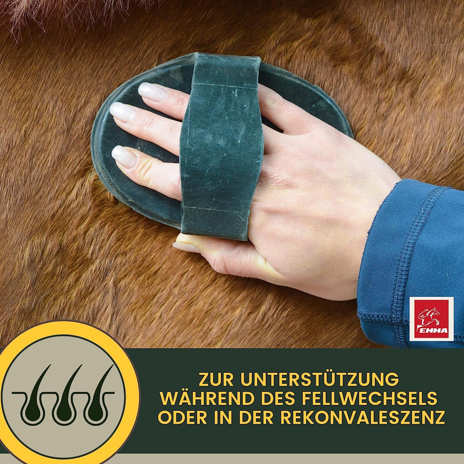 Pâte de vitamine pour chevaux I Booster d'énergie I Vitamines B I Complexe de vitamine B Cheval B12 Lysine Zinc Cheval I Minéraux I Renforcer le système immunitaire I Vitamine E Cheval Oldie Oldie