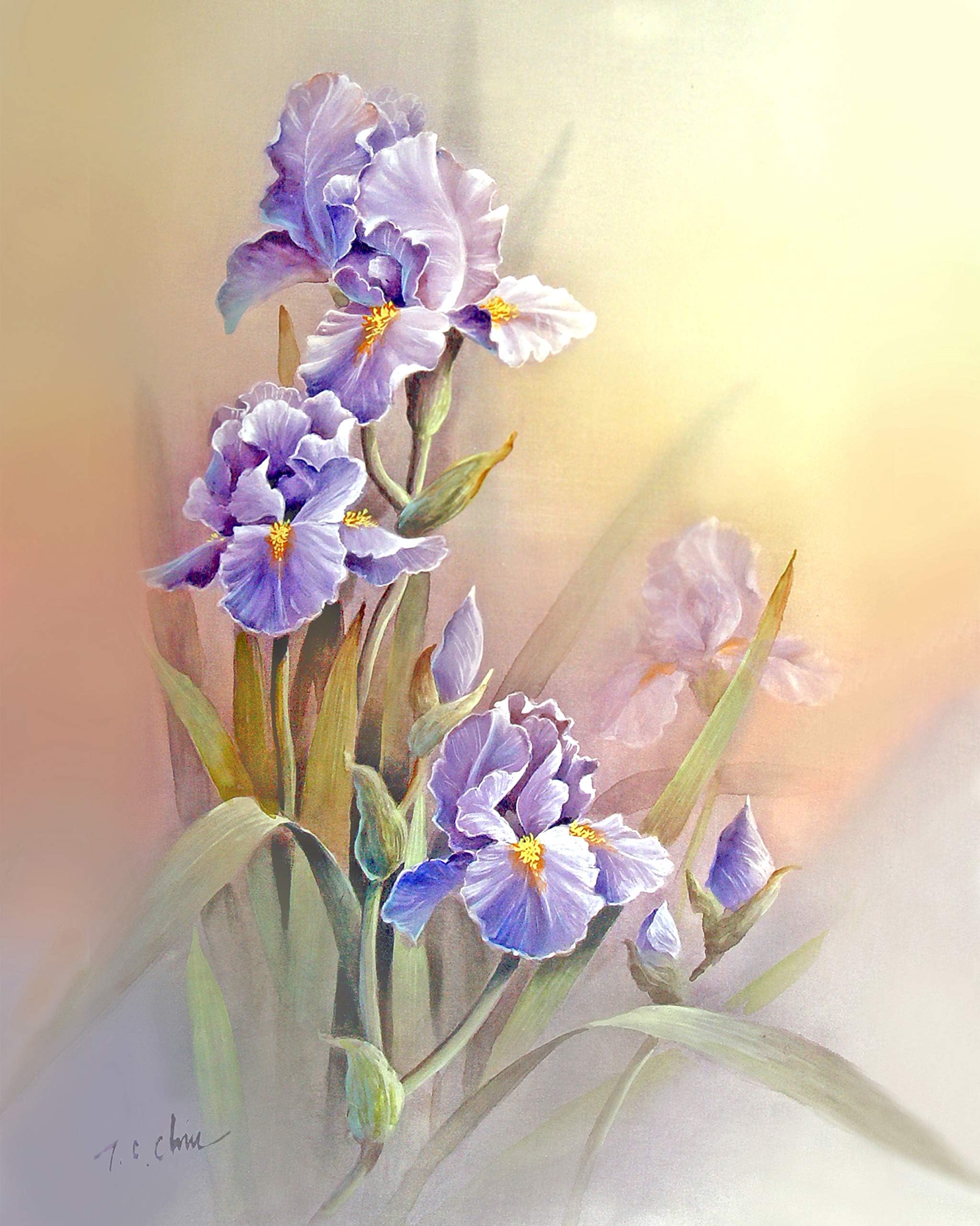 Violet Iris Flowers with Faded Background print of Watercolor Painting - Nature, Flowers, Peaceful Gifts, Gift for Ladies